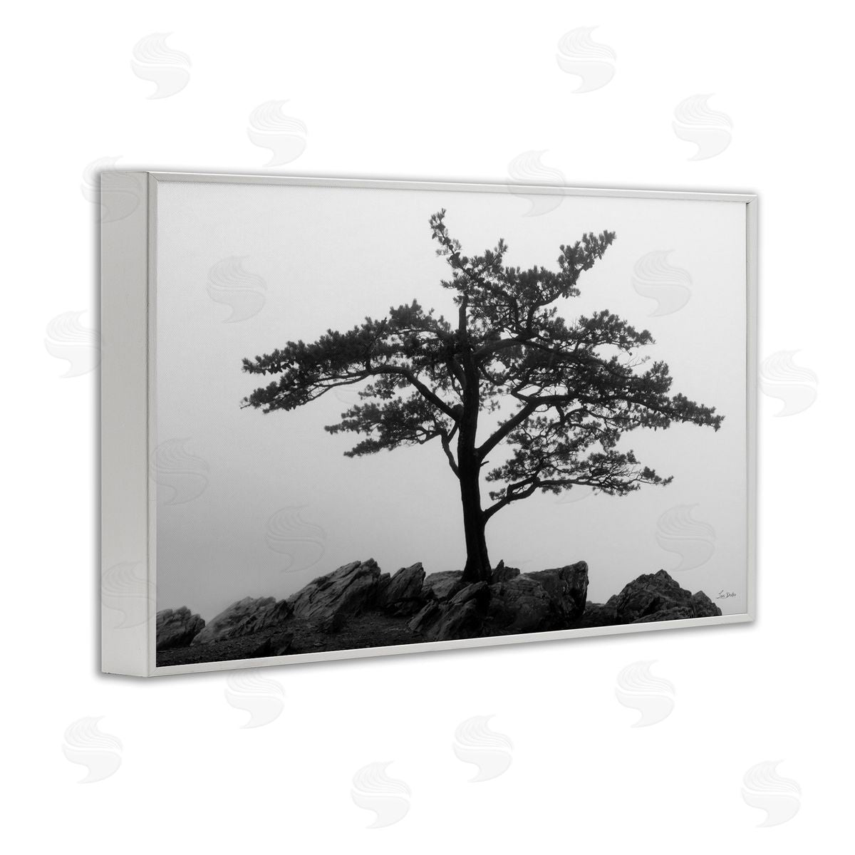 Lori Deiter Lone Tree on Rocks White Framed Giclee Wall Art Print