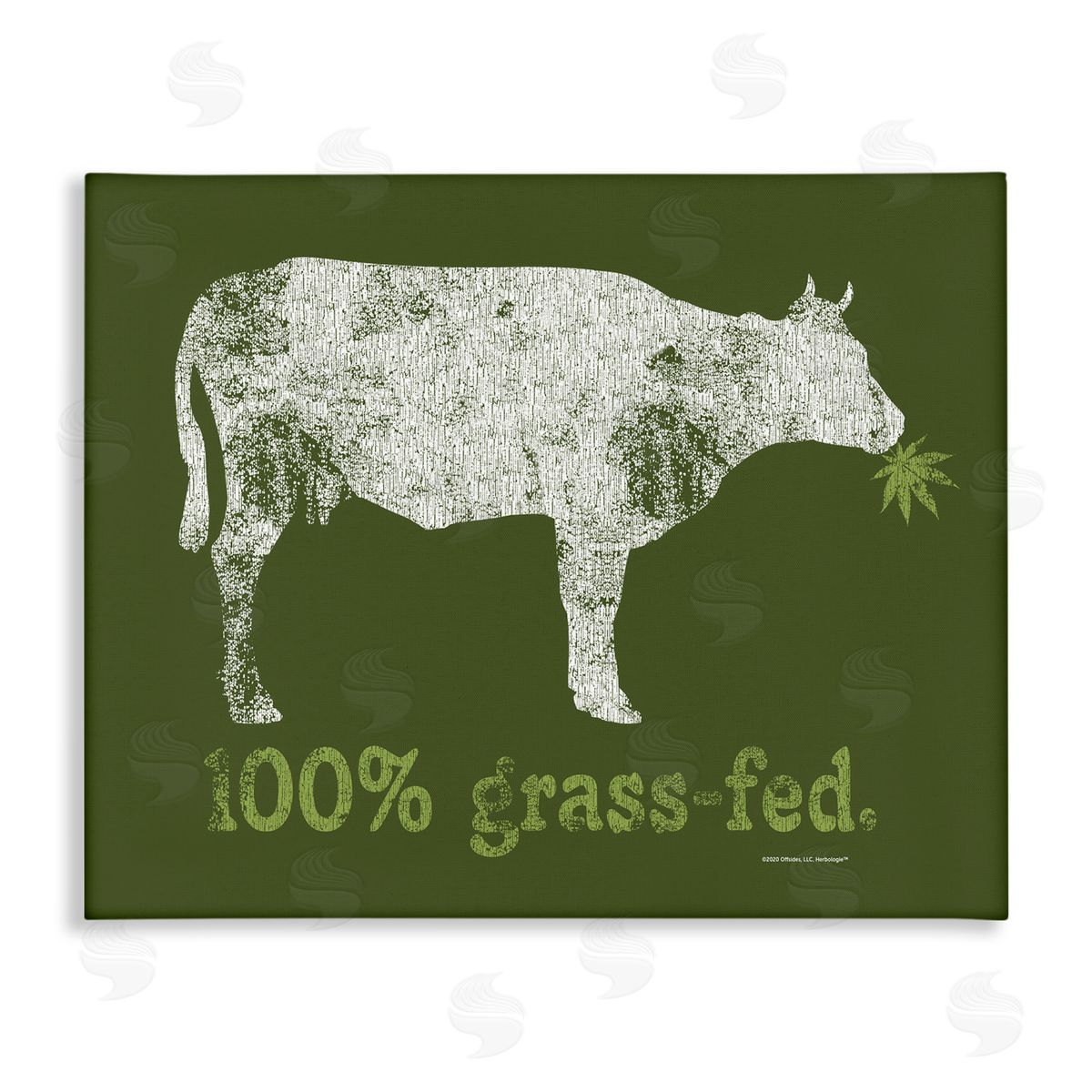 Higher Learning/Life Is High Grass Fed Cow Canvas Wall Art Print