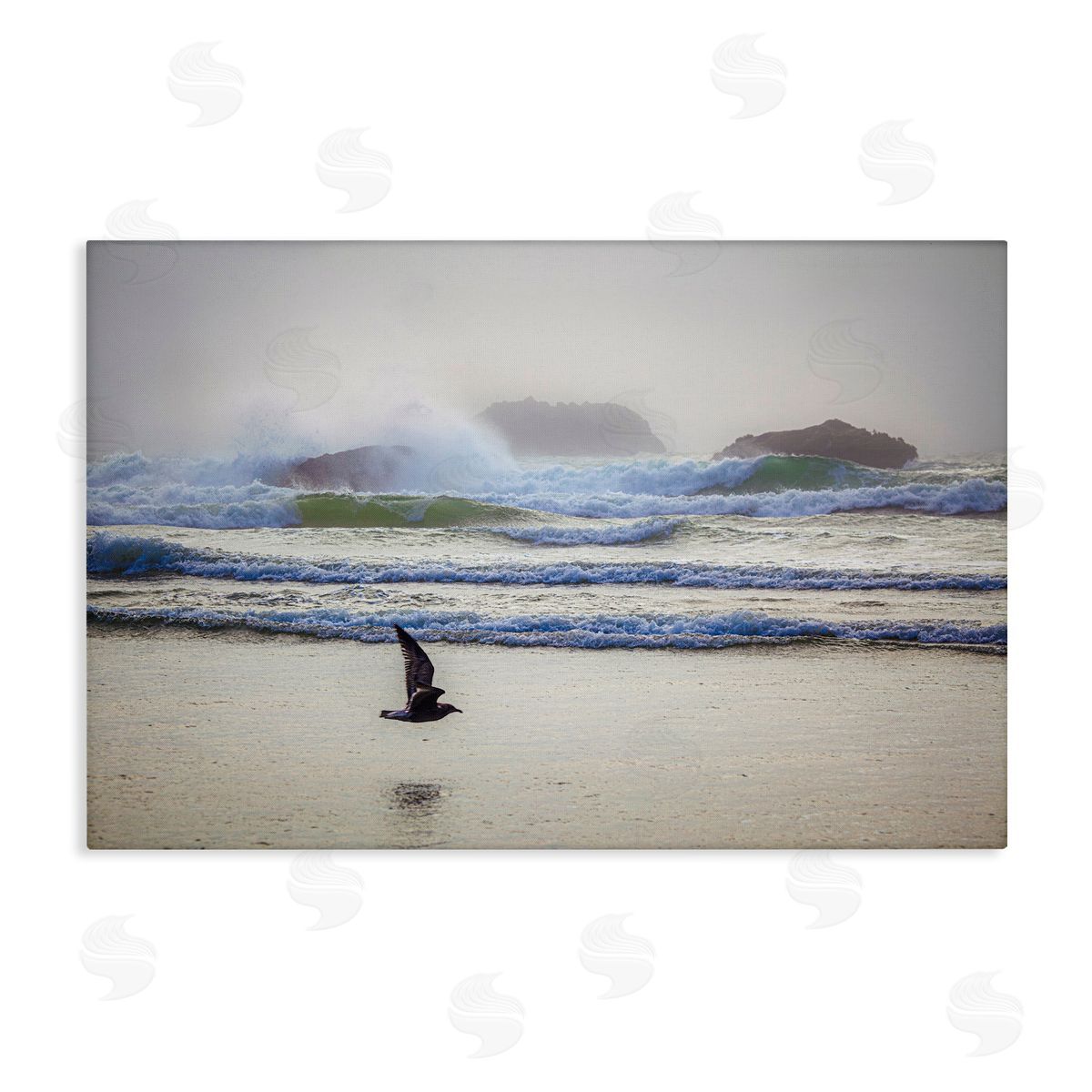Marty Hulsebos Flying Low over Shore Canvas Wall Art Print