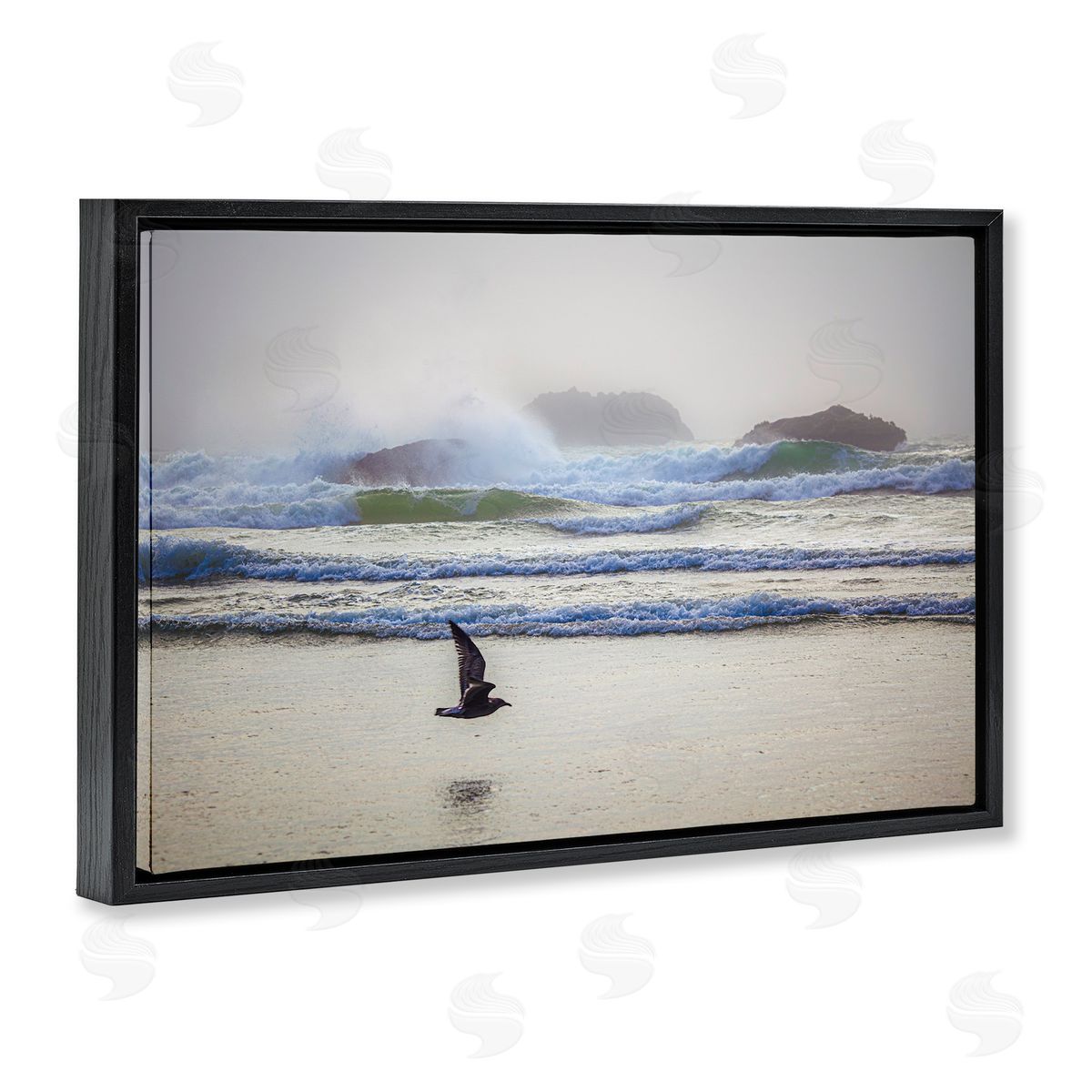 Marty Hulsebos Flying Low over Shore Black Floating Frame Canvas Wall Art Print