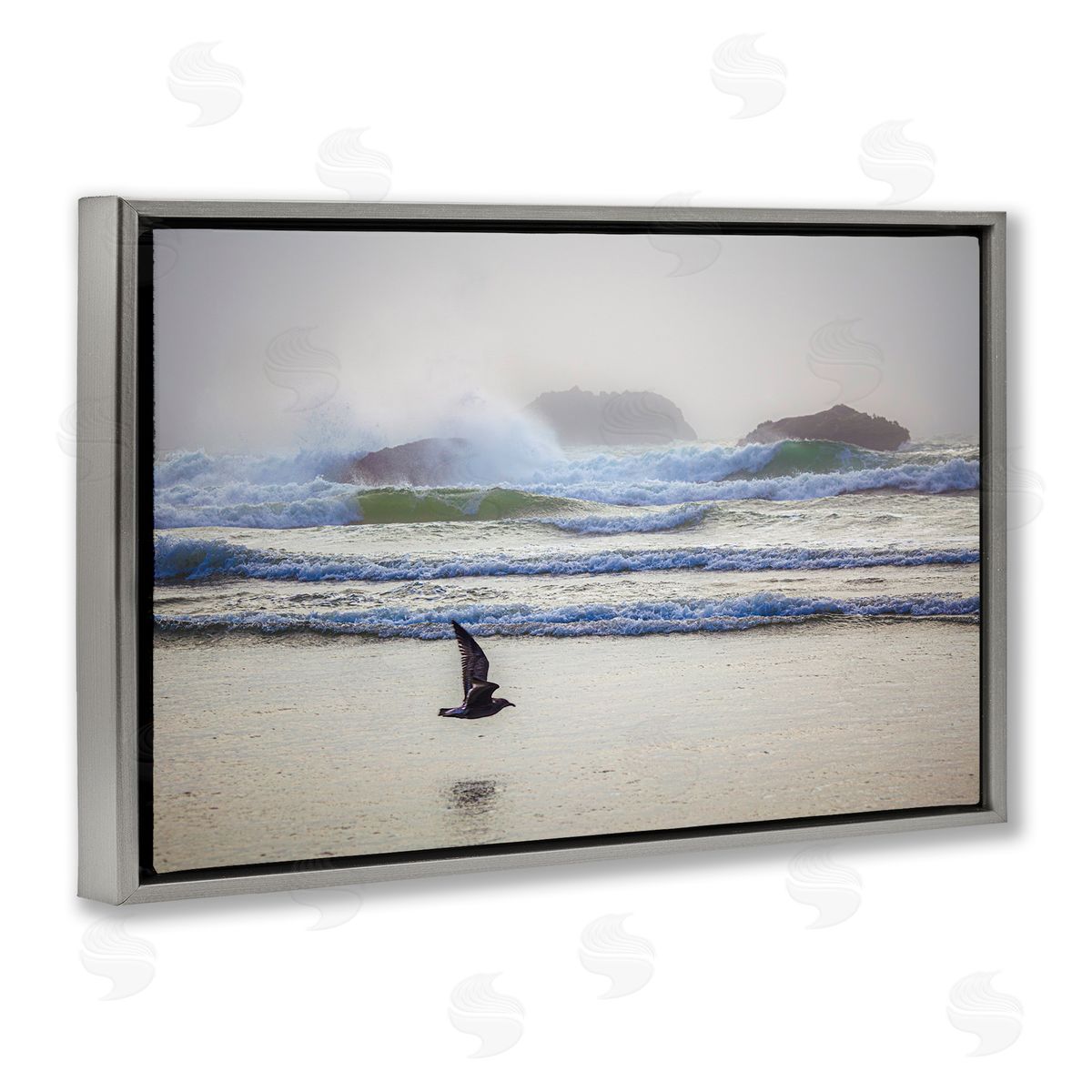 Marty Hulsebos Flying Low over Shore Gray Floating Frame Canvas Wall Art Print