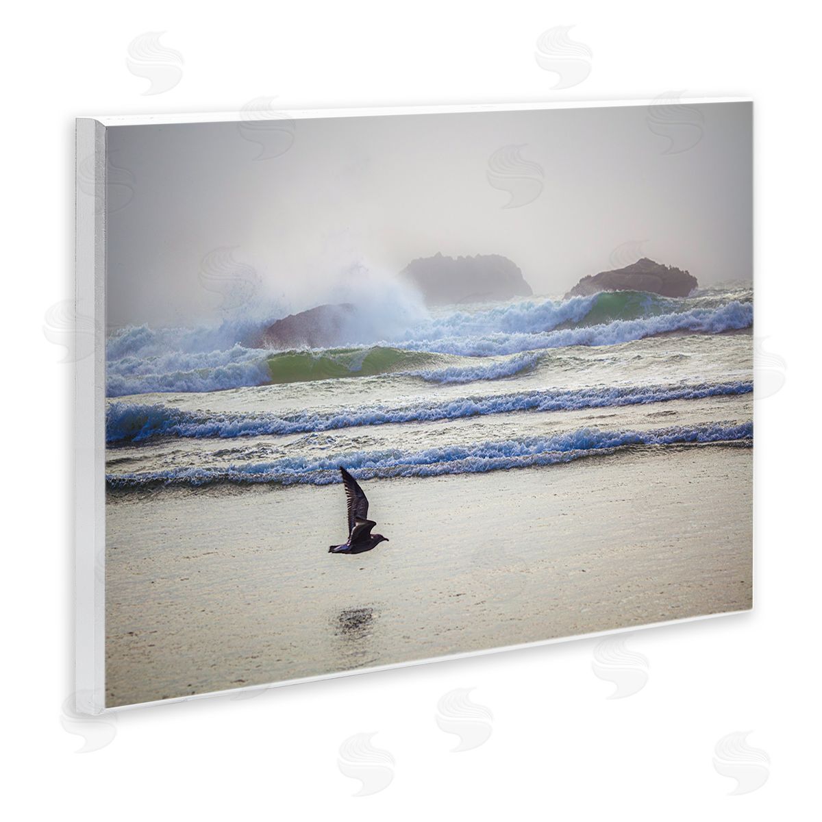 Marty Hulsebos Flying Low over Shore Wooden Wall Plaque Art Print