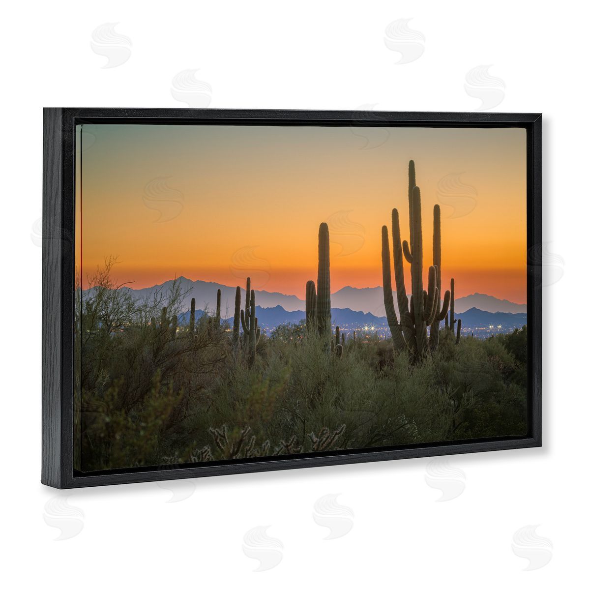 Marty Hulsebos Looming Cacti Sunset Black Floating Frame Canvas Wall Art Print