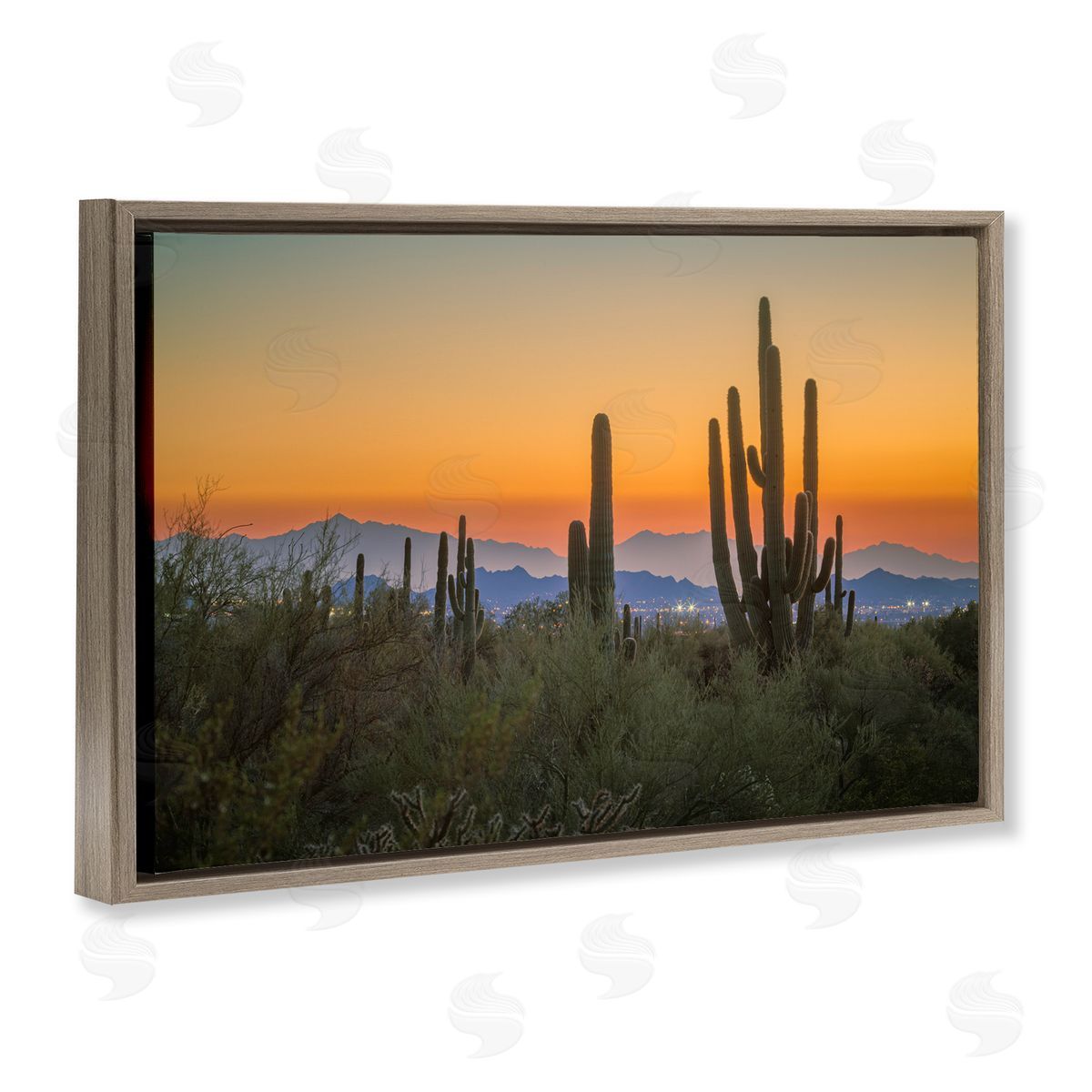 Marty Hulsebos Looming Cacti Sunset Brown Floating Frame Canvas Wall Art Print