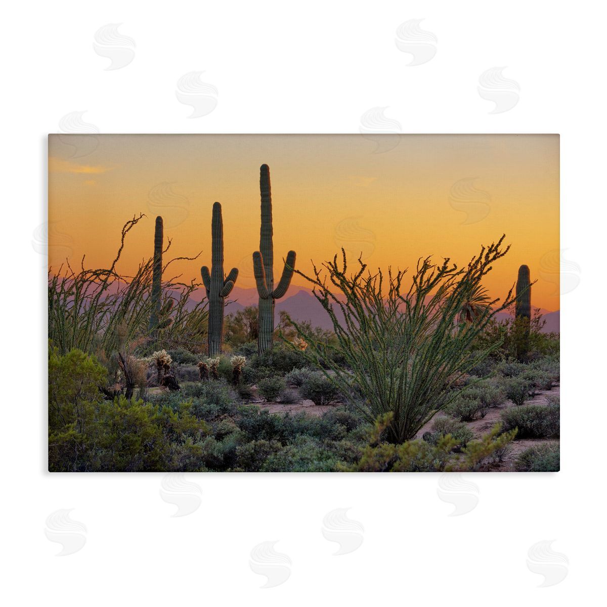 Marty Hulsebos Sunset Desertscape Cacti Canvas Wall Art Print