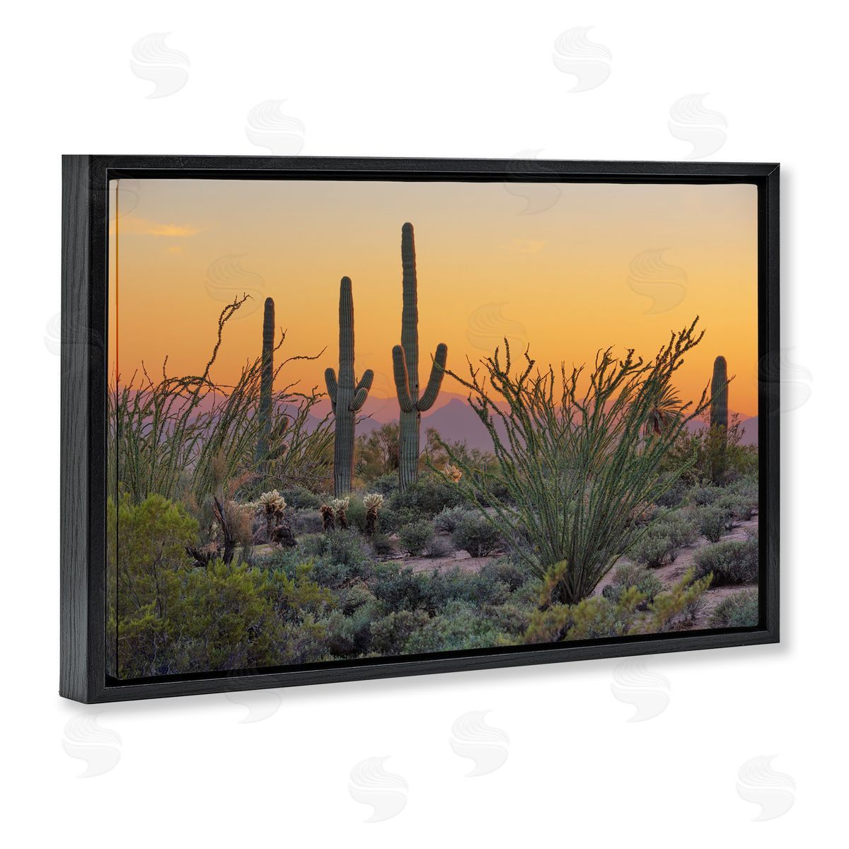 Marty Hulsebos Sunset Desertscape Cacti Black Floating Frame Canvas Wall Art Print