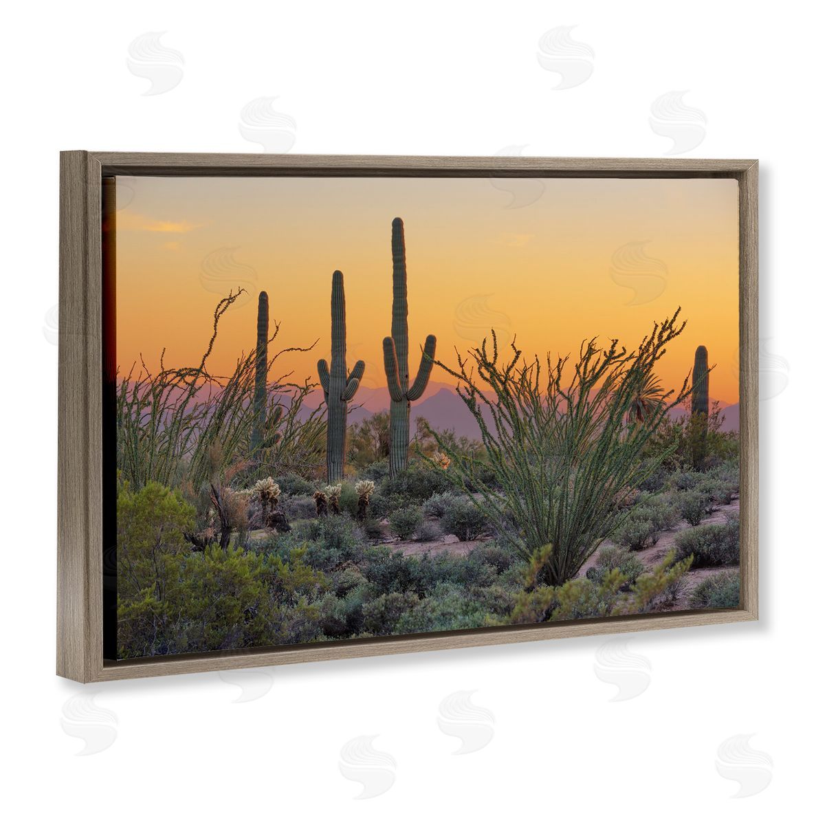 Marty Hulsebos Sunset Desertscape Cacti Brown Floating Frame Canvas Wall Art Print
