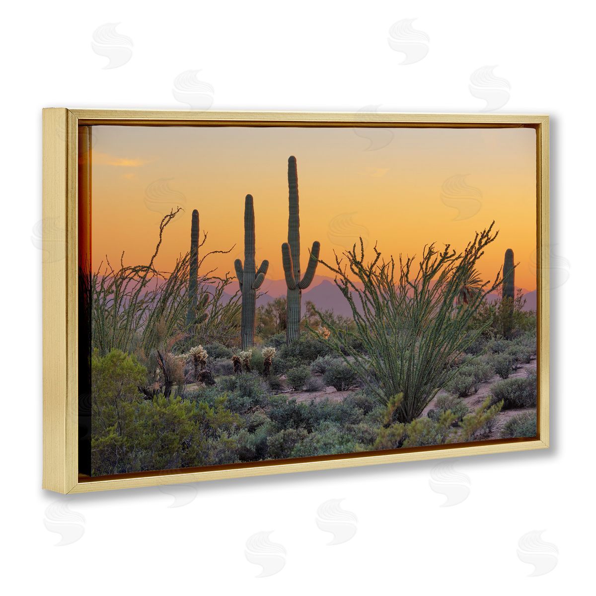 Marty Hulsebos Sunset Desertscape Cacti Gold Floating Frame Canvas Wall Art Print
