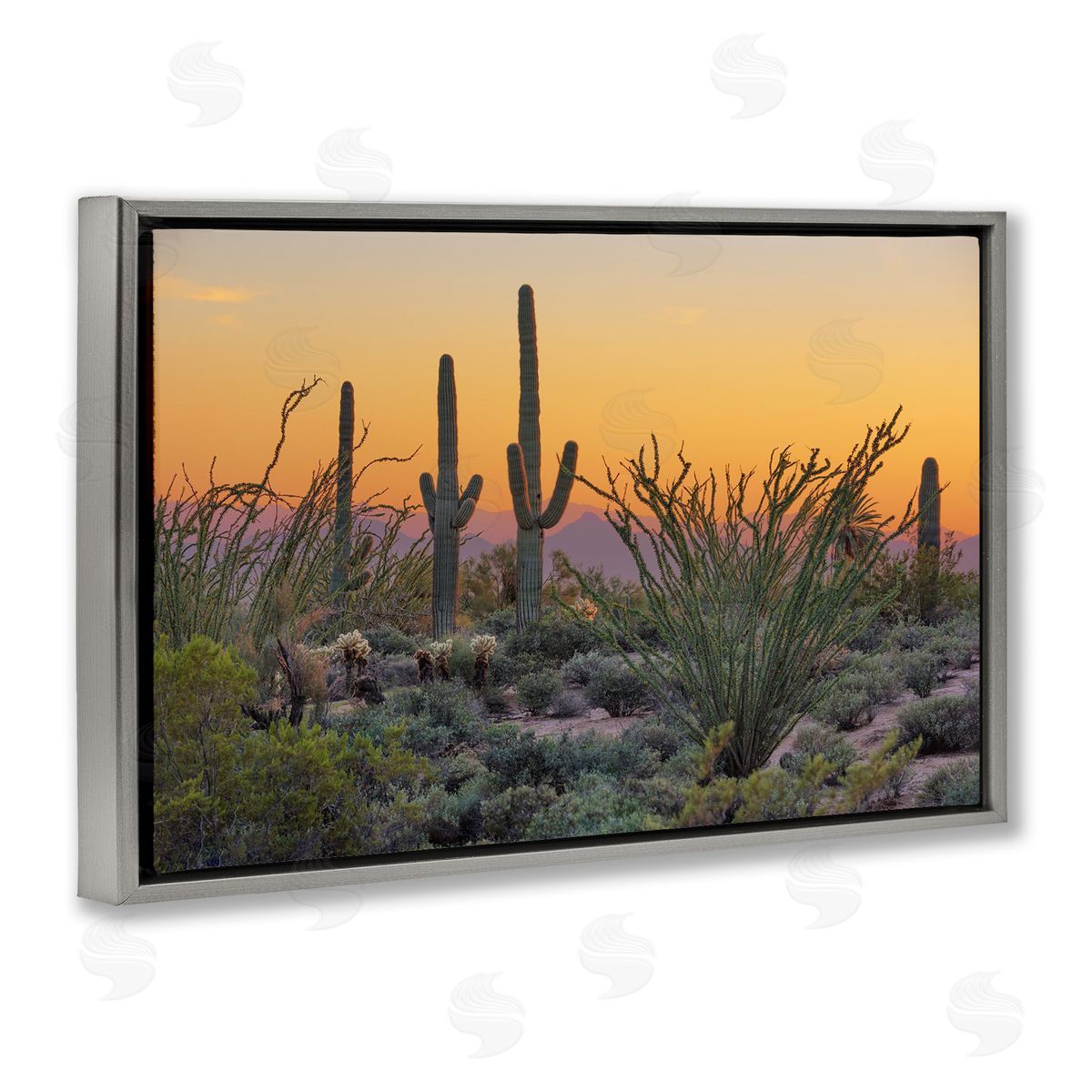 Marty Hulsebos Sunset Desertscape Cacti Gray Floating Frame Canvas Wall Art Print