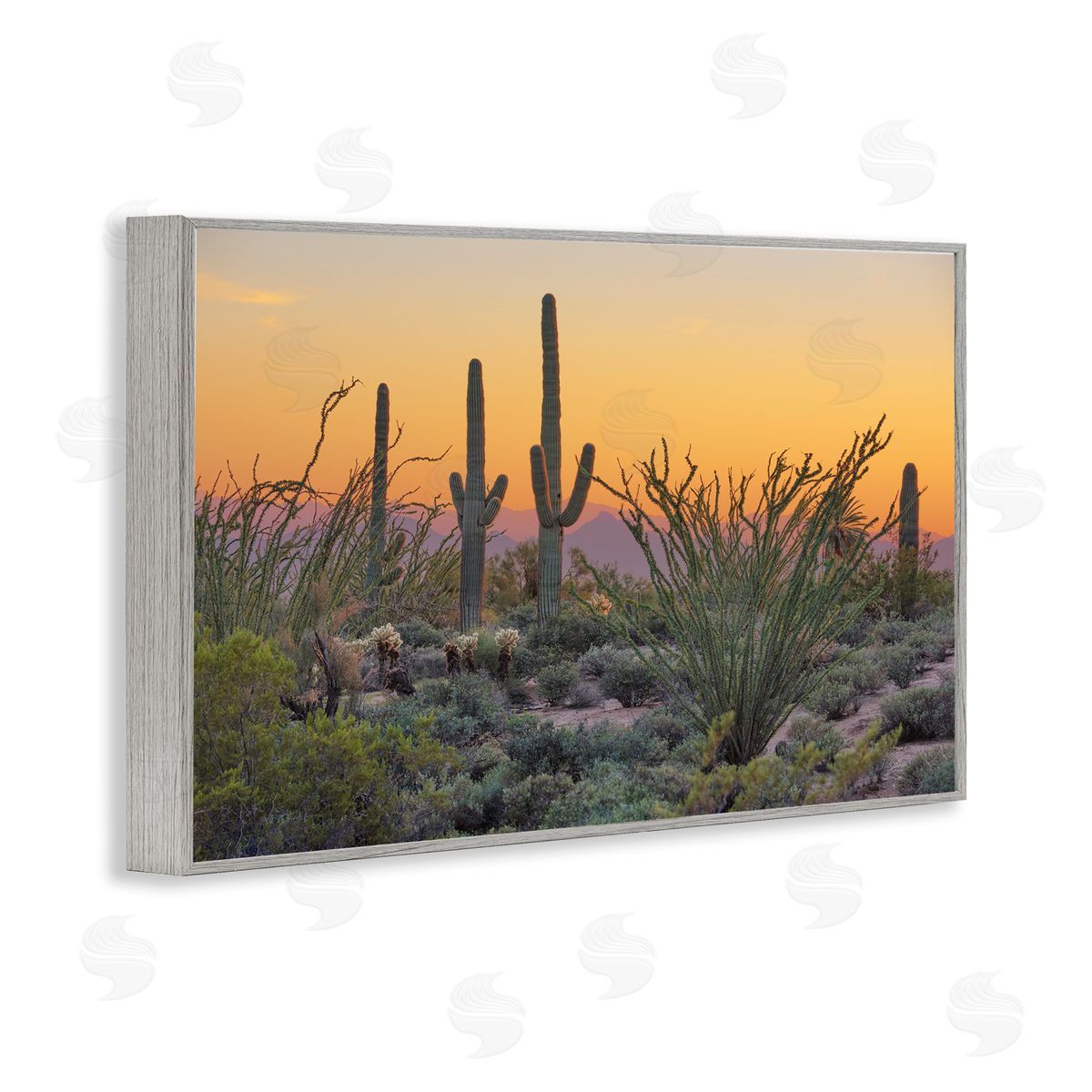 Marty Hulsebos Sunset Desertscape Cacti Gray Framed Giclee Wall Art Print