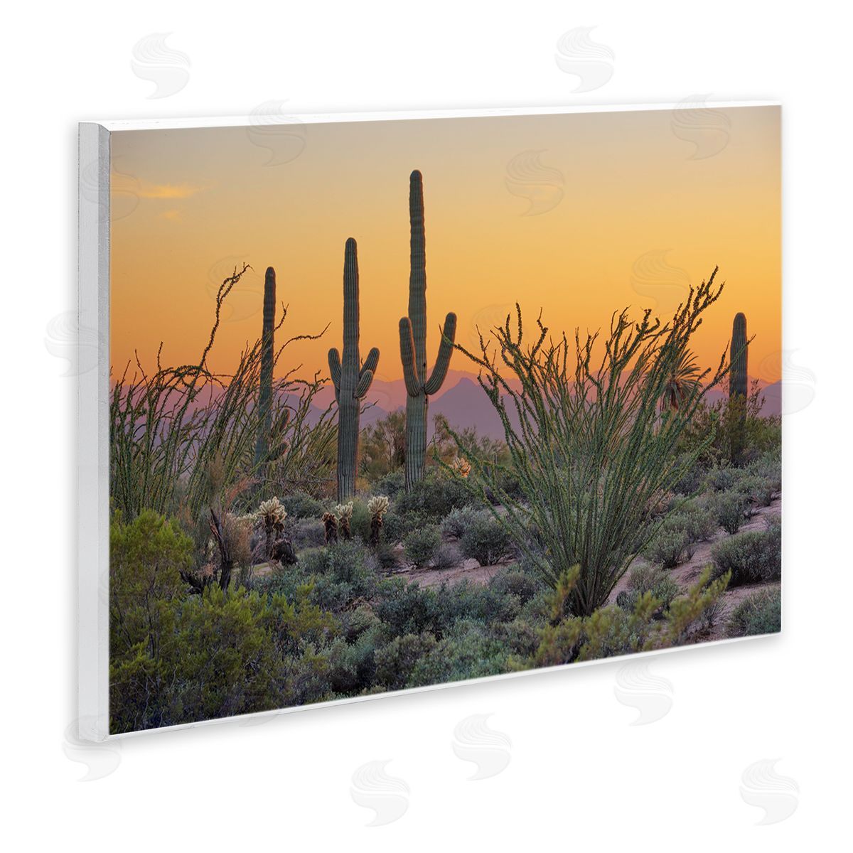 Marty Hulsebos Sunset Desertscape Cacti Wooden Wall Plaque Art Print