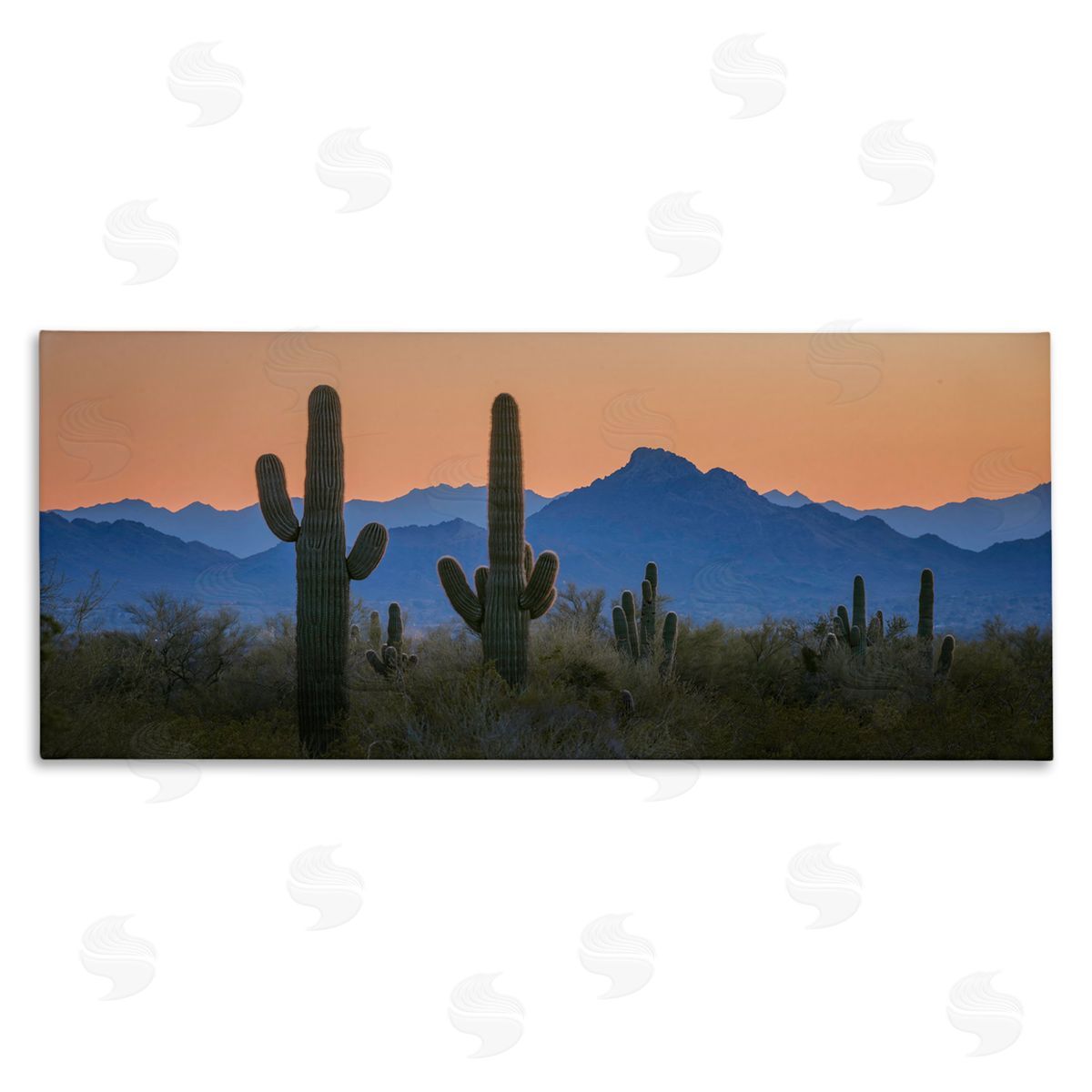 Marty Hulsebos Contrasting Desert Sunset