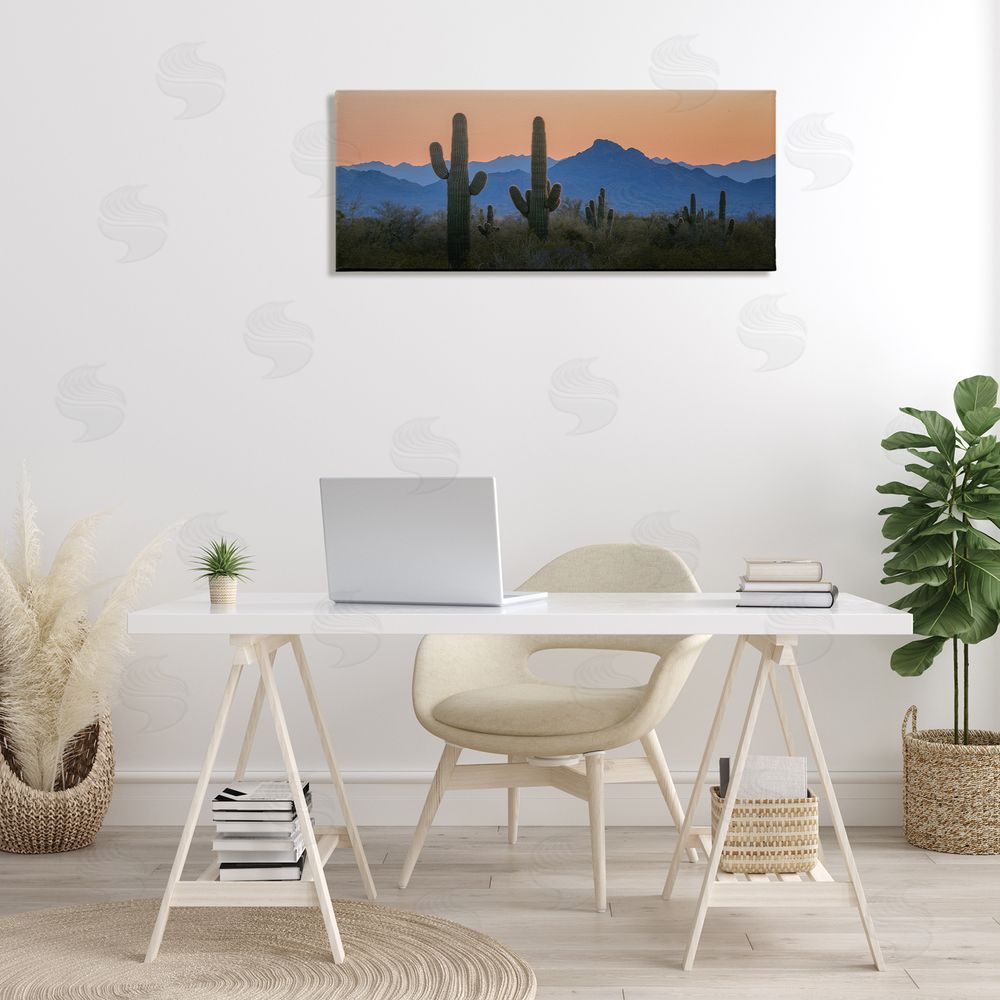 Marty Hulsebos Contrasting Desert Sunset