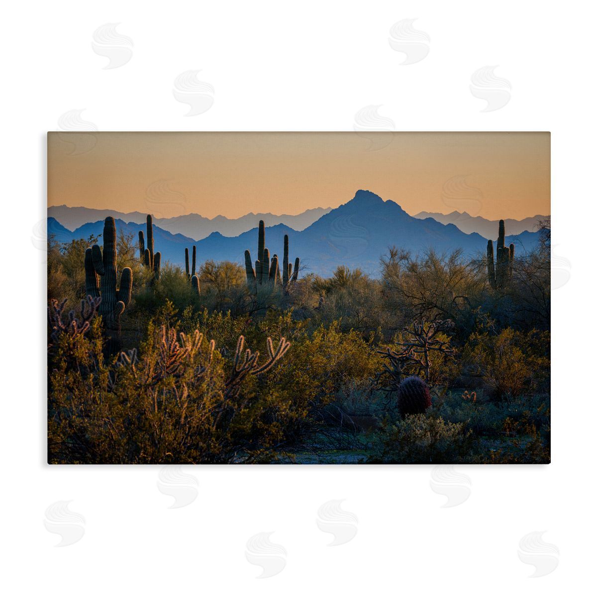 Marty Hulsebos Contrasting Desertscape Scene Canvas Wall Art Print
