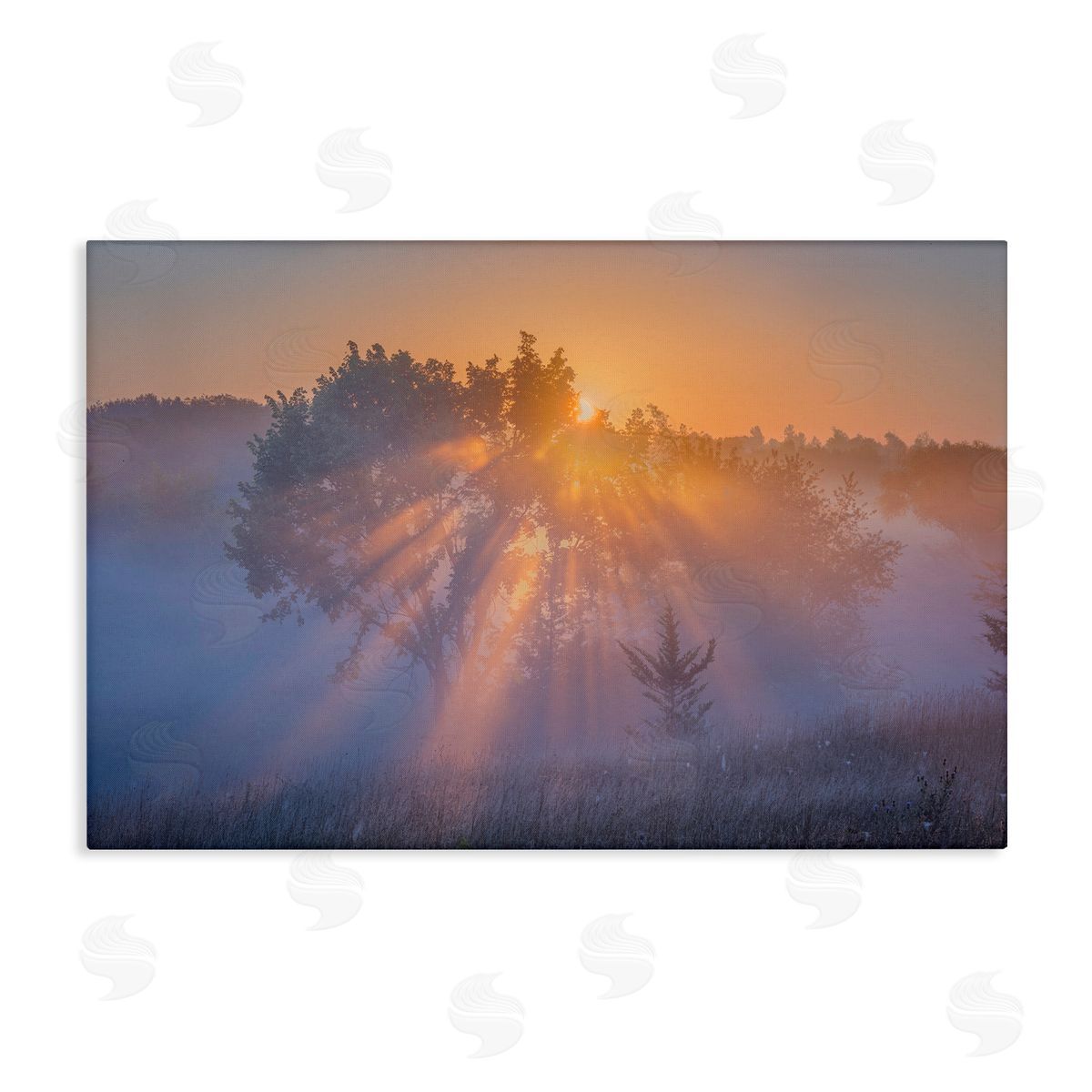 Marty Hulsebos Sun Rays Peeking Landscape Canvas Wall Art Print