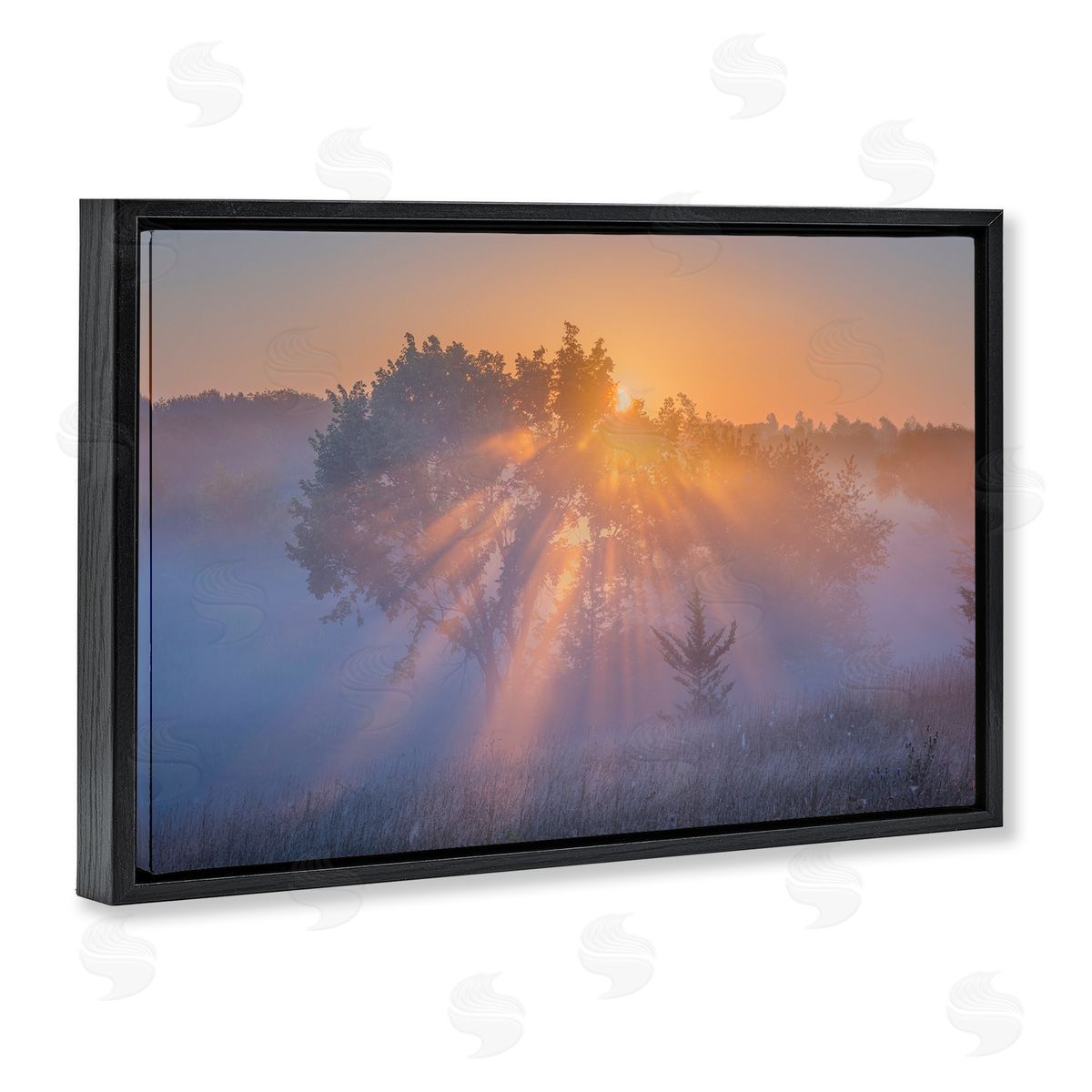 Marty Hulsebos Sun Rays Peeking Landscape Black Floating Frame Canvas Wall Art Print