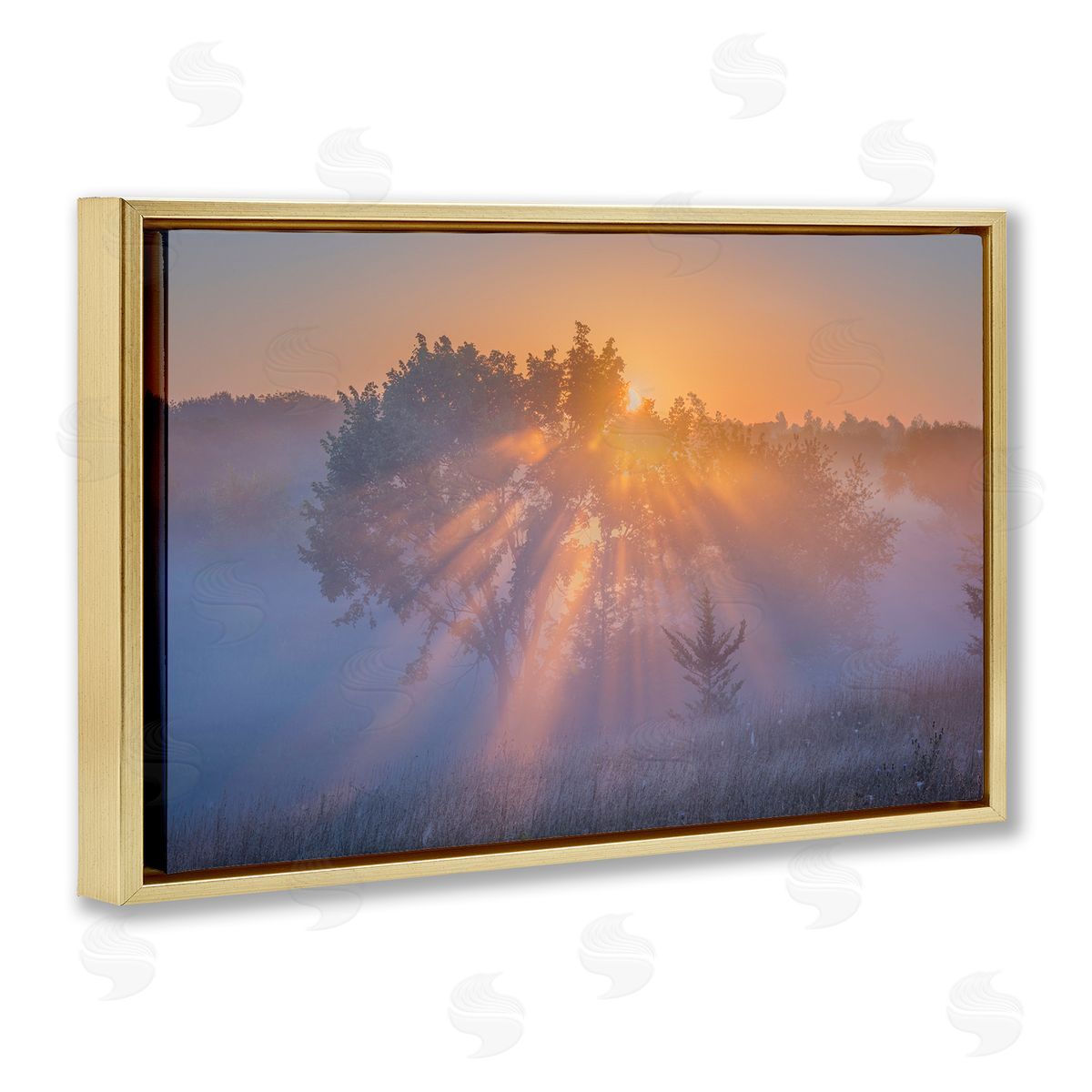Marty Hulsebos Sun Rays Peeking Landscape Gold Floating Frame Canvas Wall Art Print