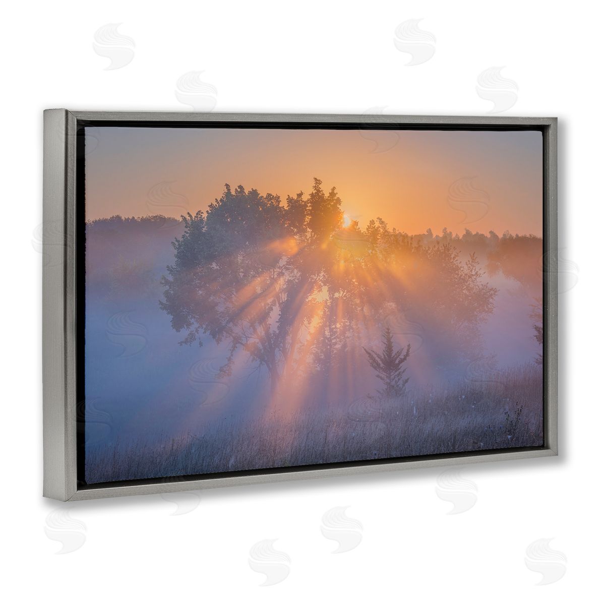 Marty Hulsebos Sun Rays Peeking Landscape Gray Floating Frame Canvas Wall Art Print
