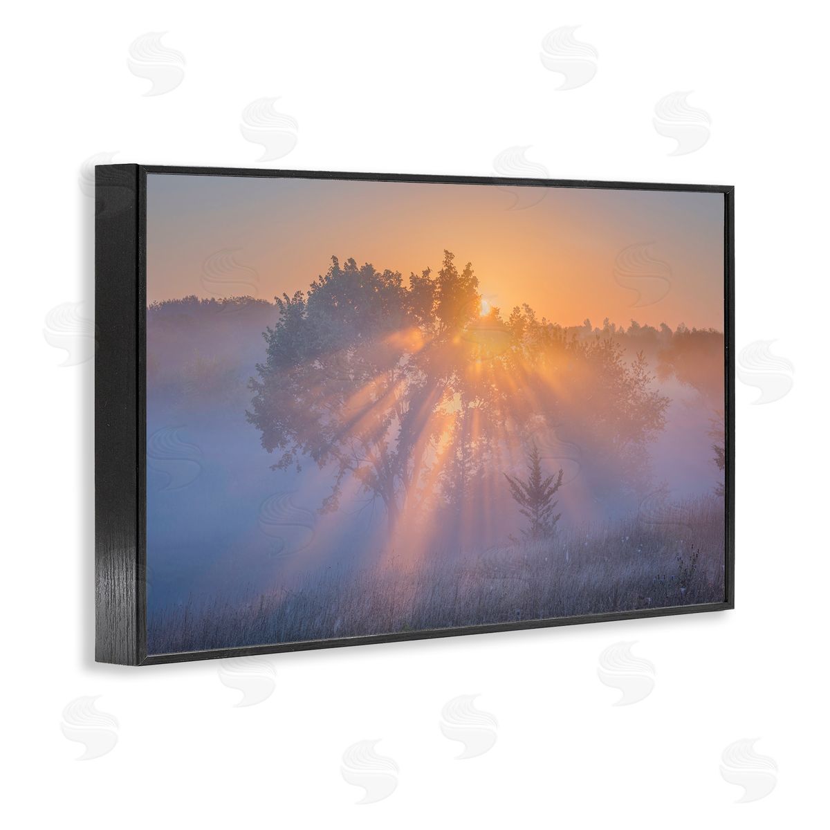 Marty Hulsebos Sun Rays Peeking Landscape Black Framed Giclee Wall Art Print