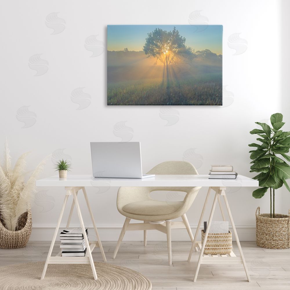 Marty Hulsebos Bright Sunlit Tree Canvas Wall Art Print in Room