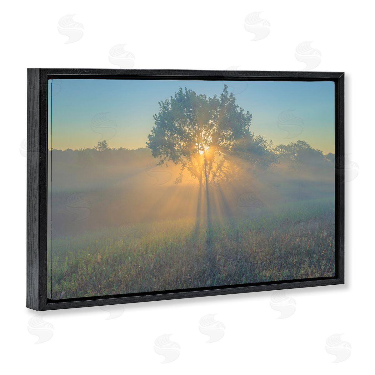 Marty Hulsebos Bright Sunlit Tree Black Floating Frame Canvas Wall Art Print