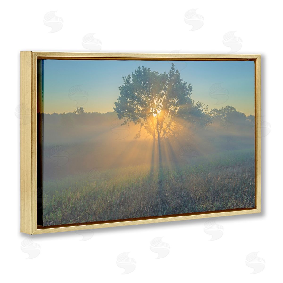 Marty Hulsebos Bright Sunlit Tree Gold Floating Frame Canvas Wall Art Print