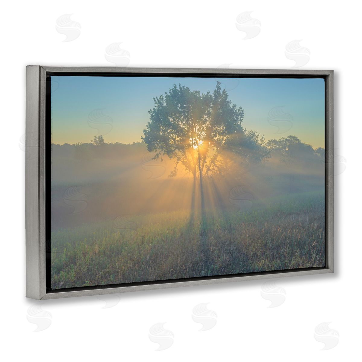 Marty Hulsebos Bright Sunlit Tree Gray Floating Frame Canvas Wall Art Print