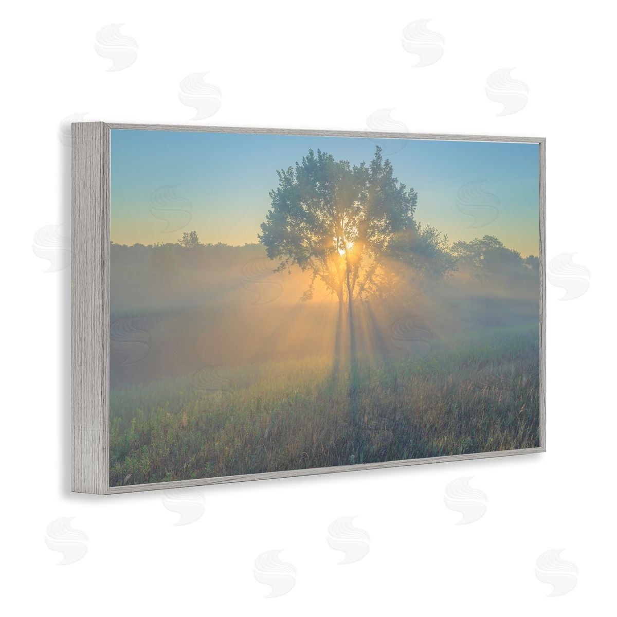 Marty Hulsebos Bright Sunlit Tree Gray Framed Giclee Wall Art Print
