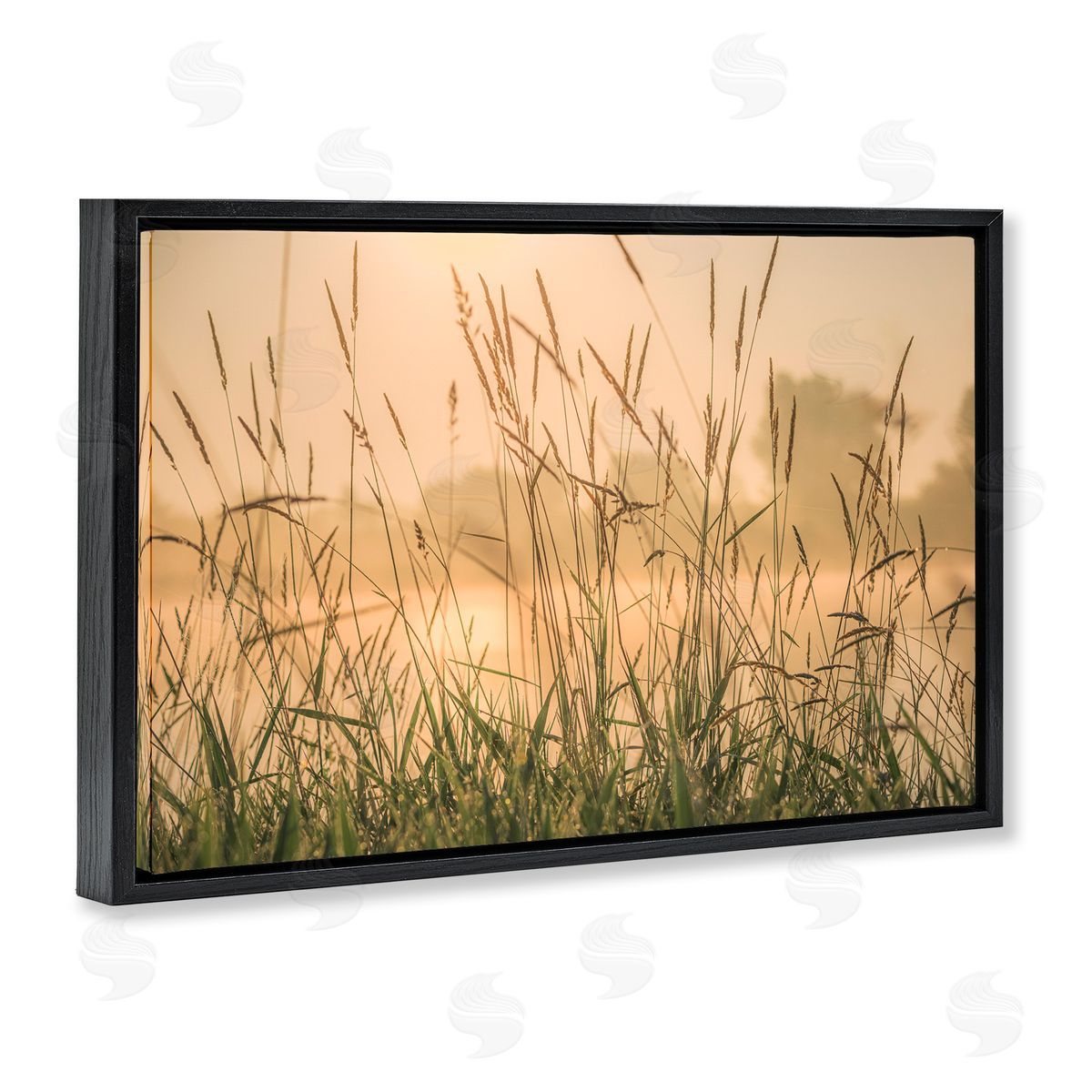 Marty Hulsebos Grassy Country Reeds Black Floating Frame Canvas Wall Art Print