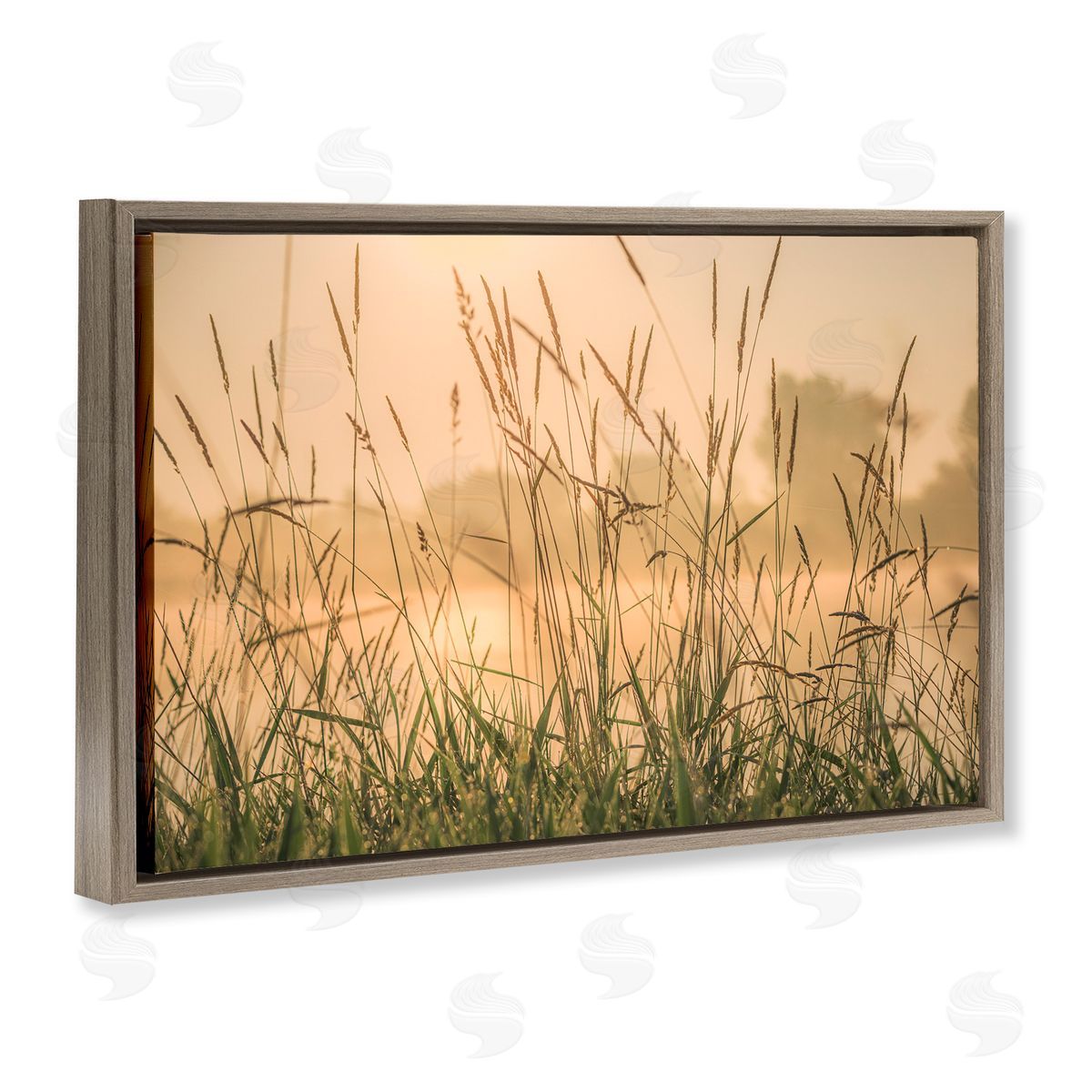 Marty Hulsebos Grassy Country Reeds Brown Floating Frame Canvas Wall Art Print