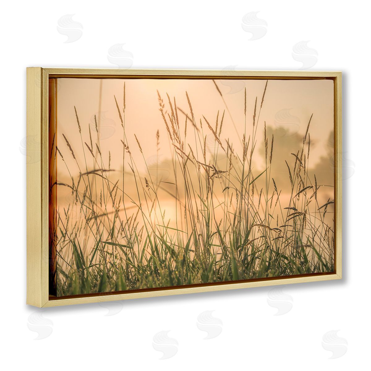 Marty Hulsebos Grassy Country Reeds Gold Floating Frame Canvas Wall Art Print