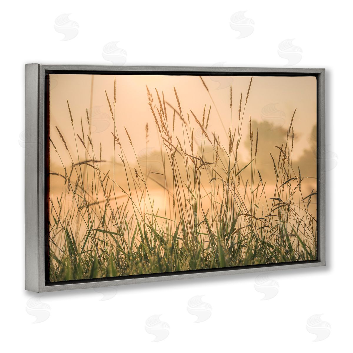 Marty Hulsebos Grassy Country Reeds Gray Floating Frame Canvas Wall Art Print