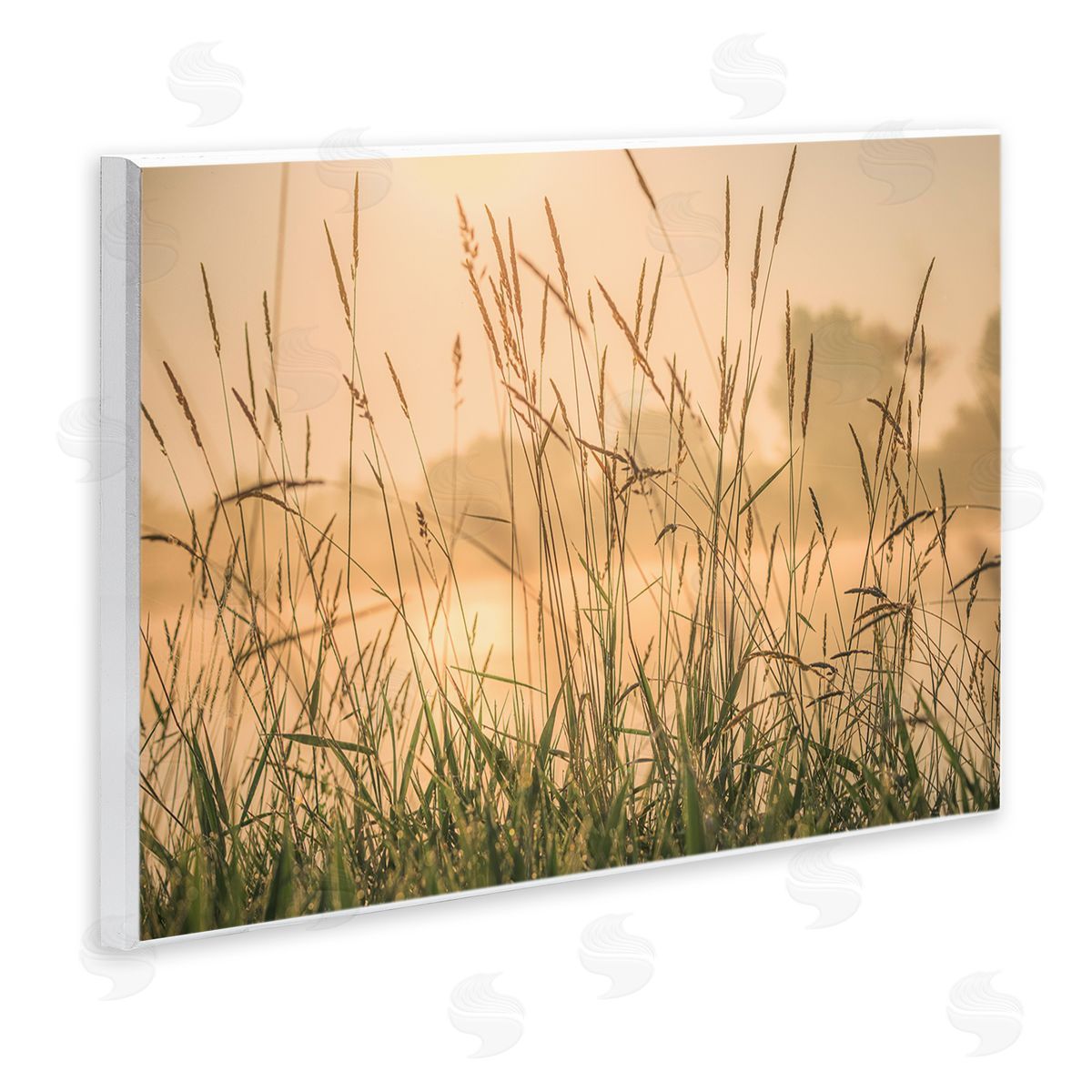 Marty Hulsebos Grassy Country Reeds Wooden Wall Plaque Art Print