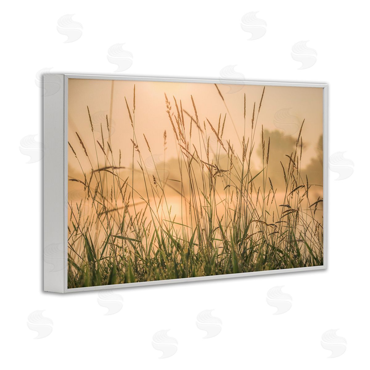 Marty Hulsebos Grassy Country Reeds White Framed Giclee Wall Art Print