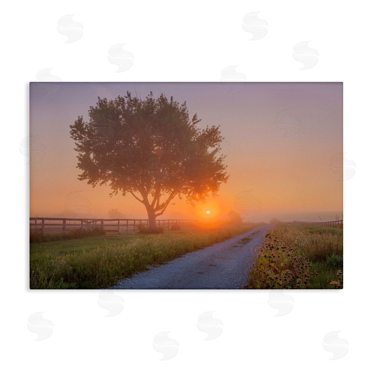 Marty Hulsebos Flower Lined Path Canvas Wall Art Print