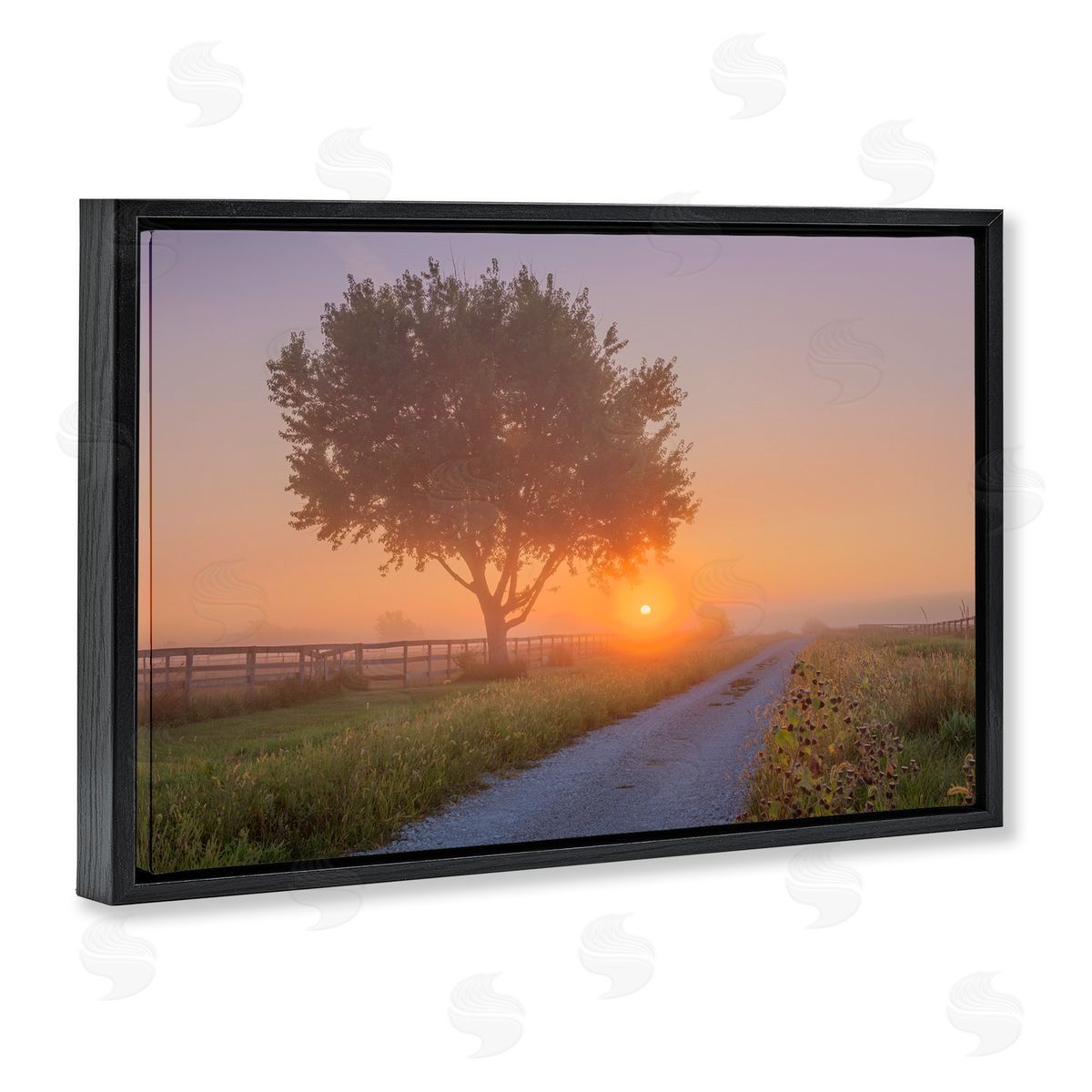 Marty Hulsebos Flower Lined Path Black Floating Frame Canvas Wall Art Print