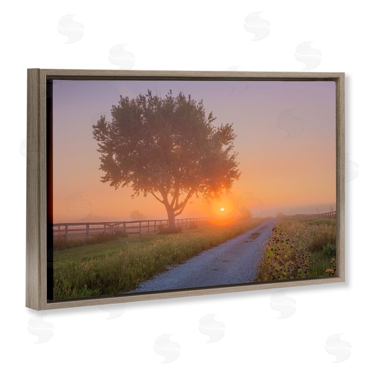 Marty Hulsebos Flower Lined Path Brown Floating Frame Canvas Wall Art Print