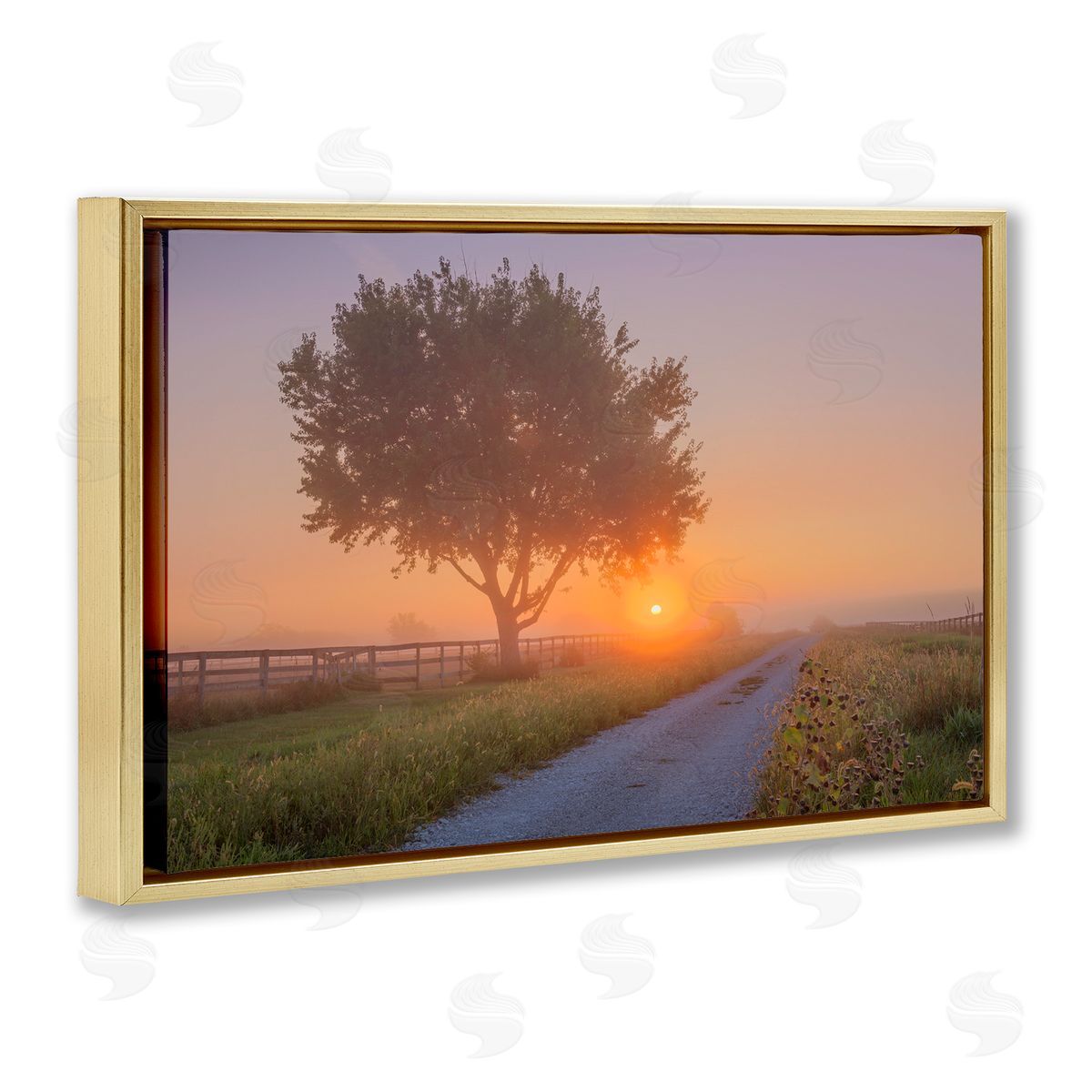 Marty Hulsebos Flower Lined Path Gold Floating Frame Canvas Wall Art Print