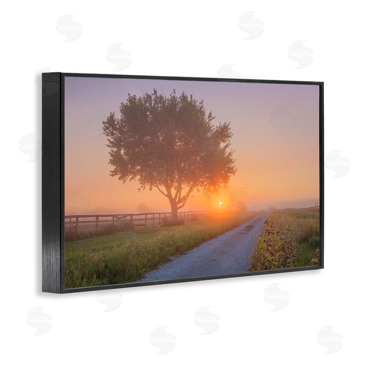 Marty Hulsebos Flower Lined Path Black Framed Giclee Wall Art Print