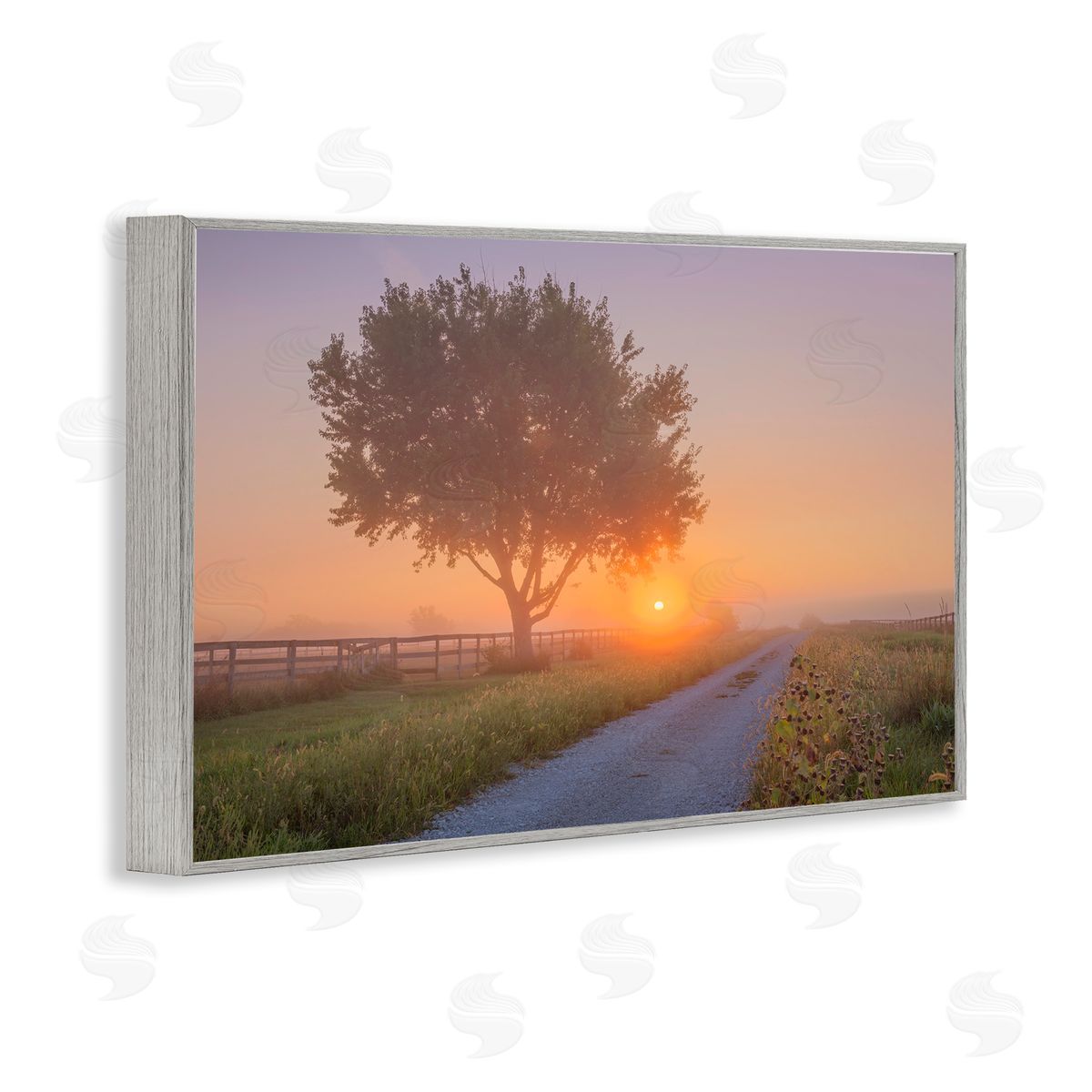 Marty Hulsebos Flower Lined Path Gray Framed Giclee Wall Art Print