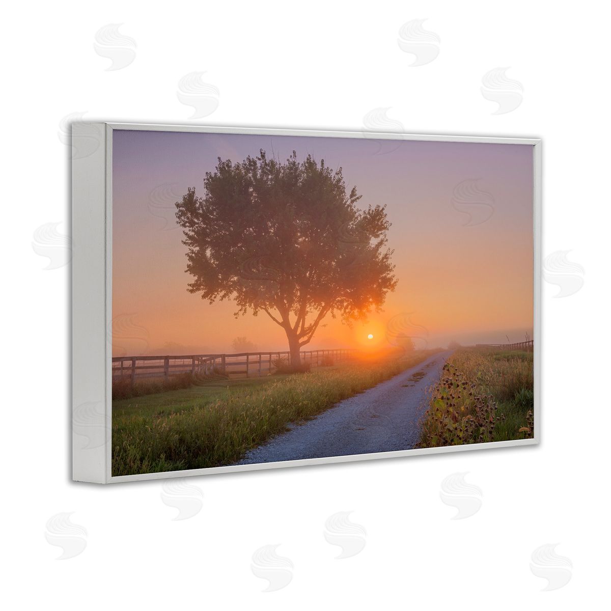 Marty Hulsebos Flower Lined Path White Framed Giclee Wall Art Print