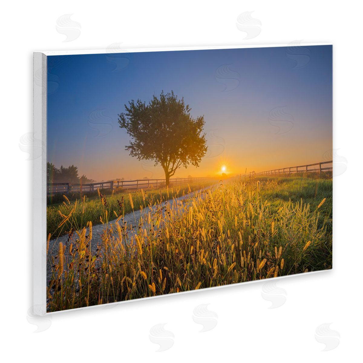 Marty Hulsebos Rising Sun Horizon Wooden Wall Plaque Art Print
