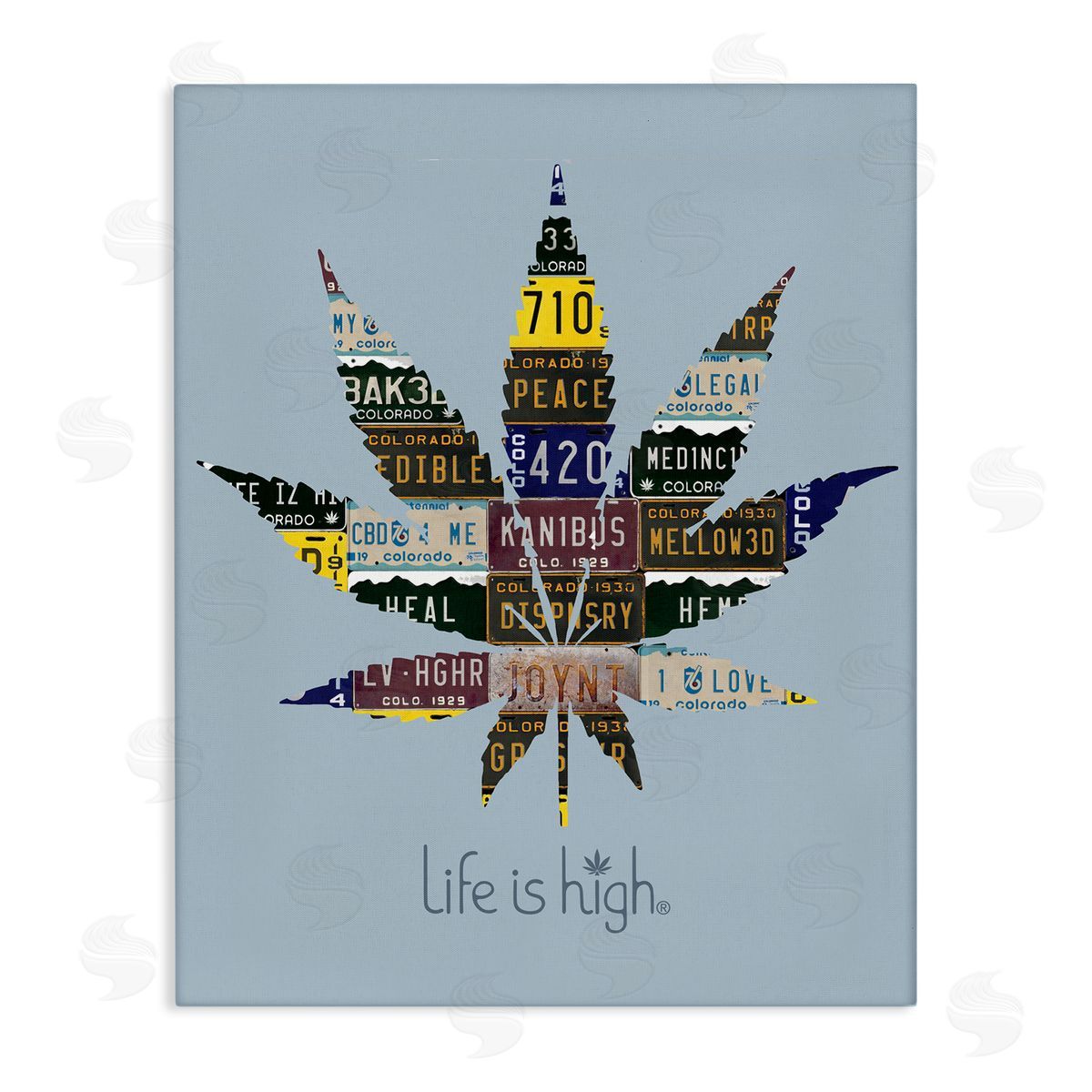 Higher Learning/Life Is High Life Is High with Plant Canvas Wall Art Print