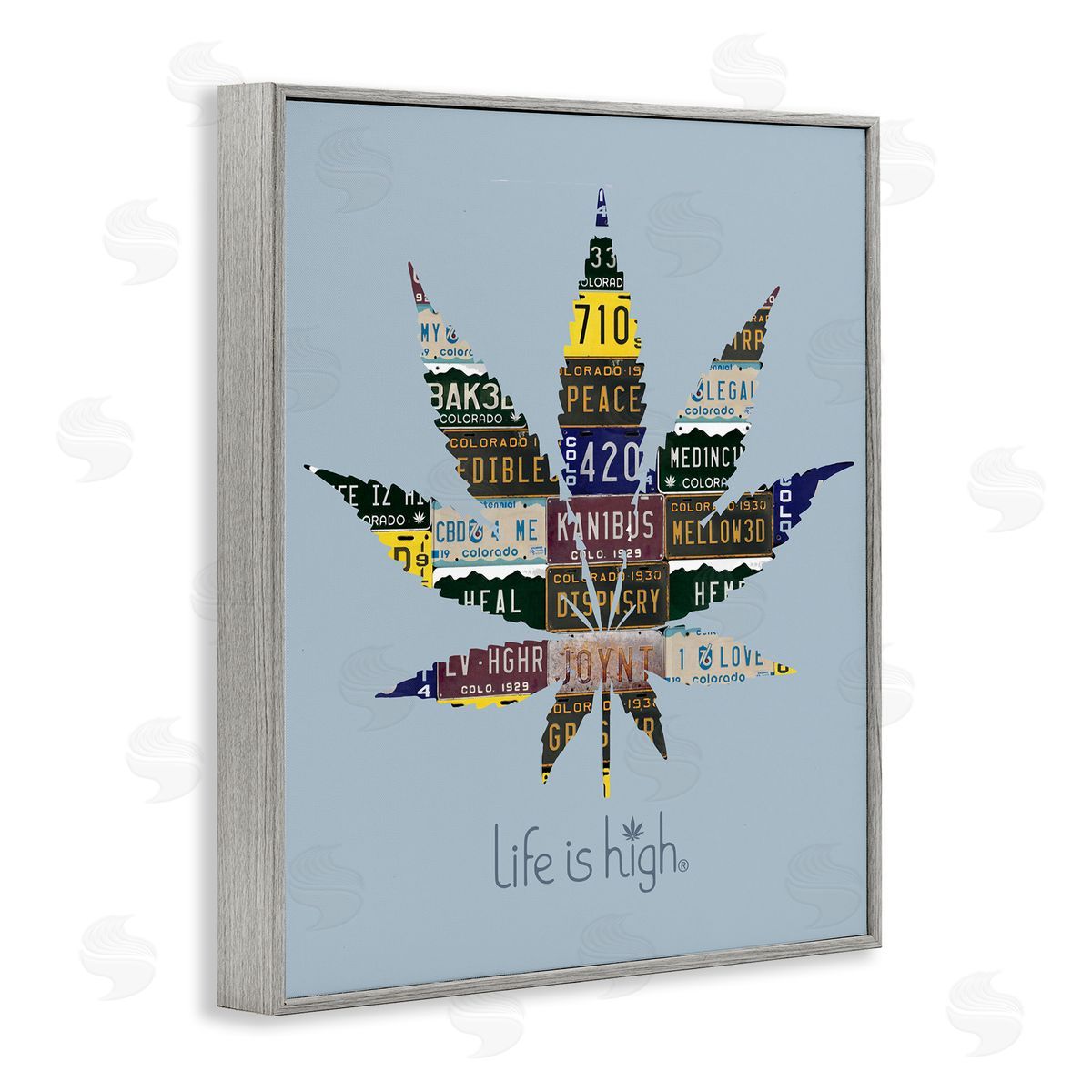 Higher Learning/Life Is High Life Is High with Plant Gray Framed Giclee Wall Art Print