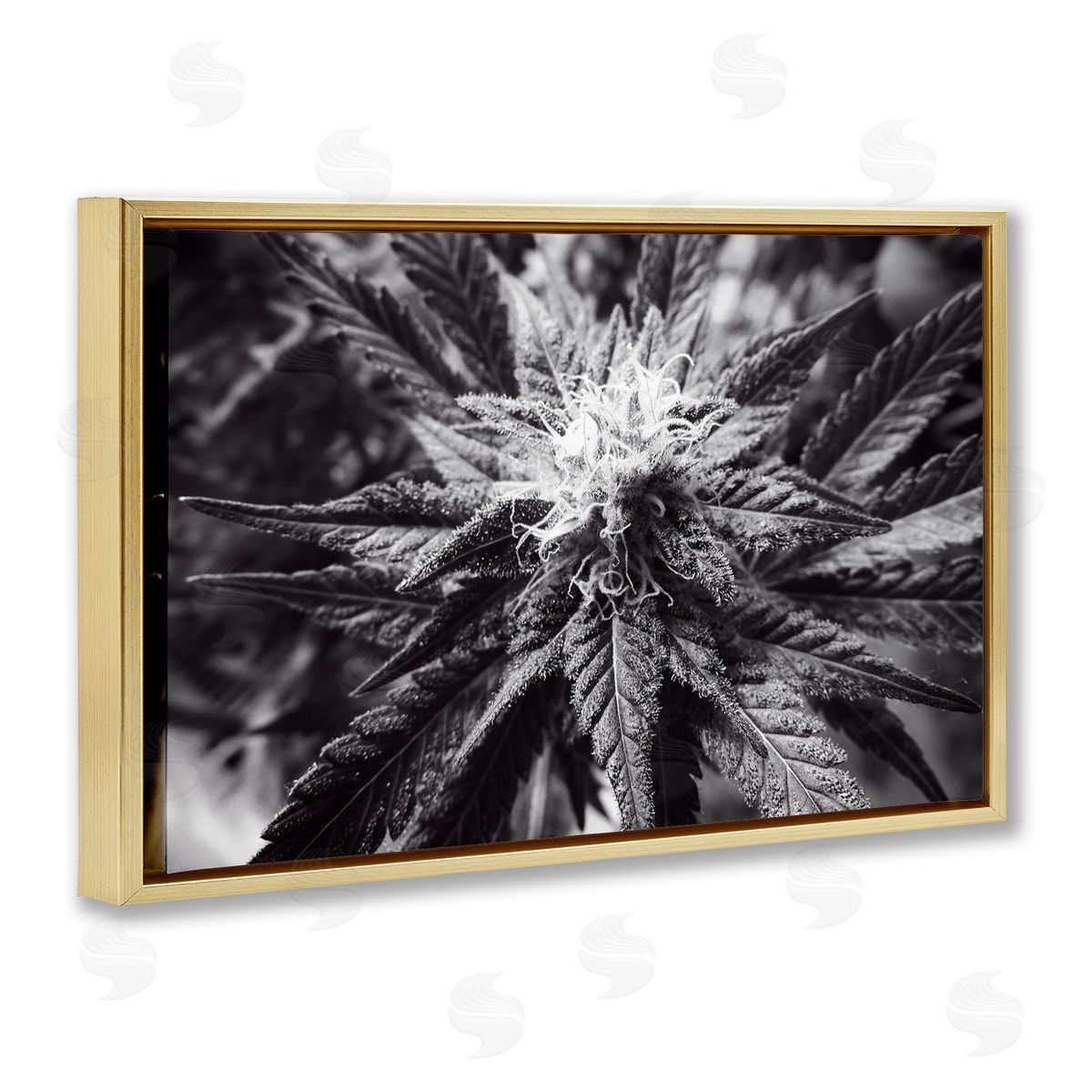 LIH Dark Cannabis Flower Gold Floating Frame Canvas Wall Art Print