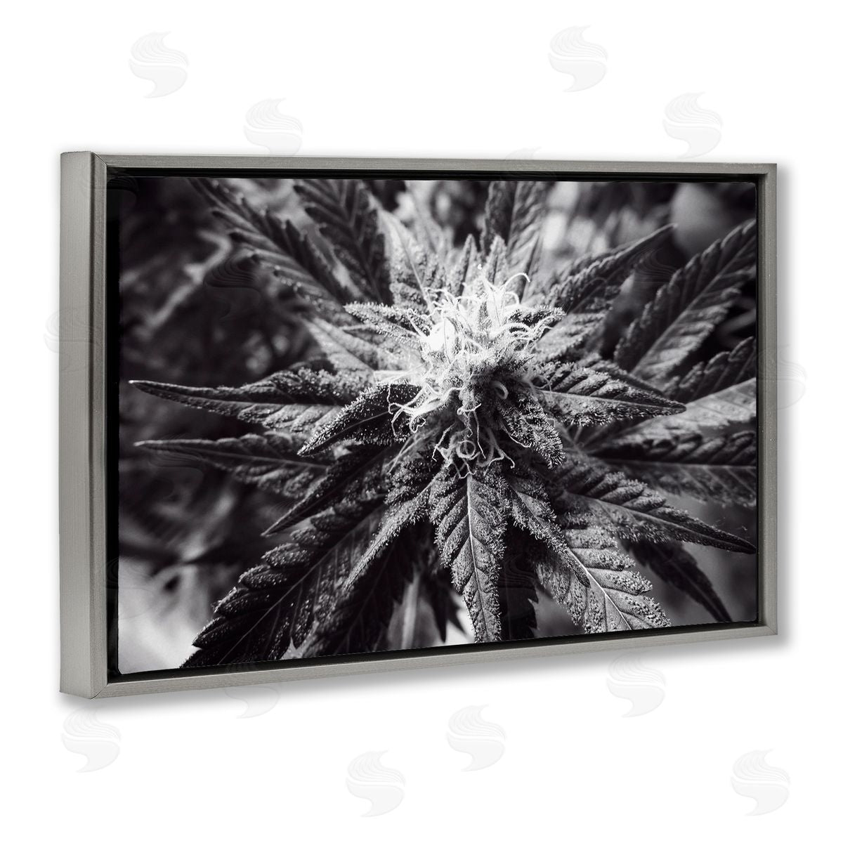 LIH Dark Cannabis Flower Gray Floating Frame Canvas Wall Art Print