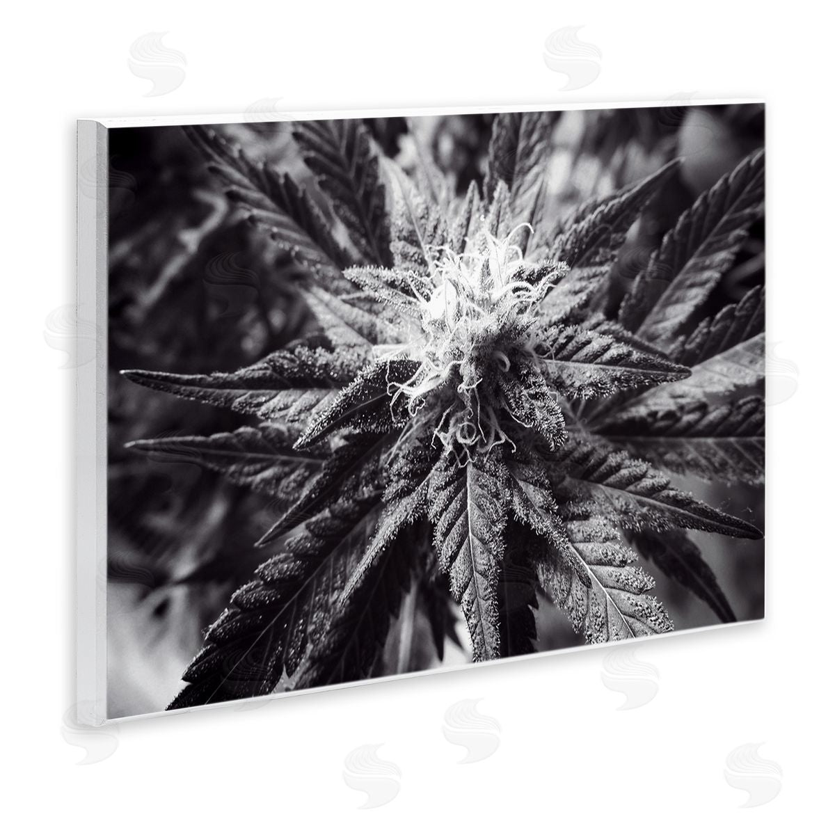 LIH Dark Cannabis Flower Wooden Wall Plaque Art Print