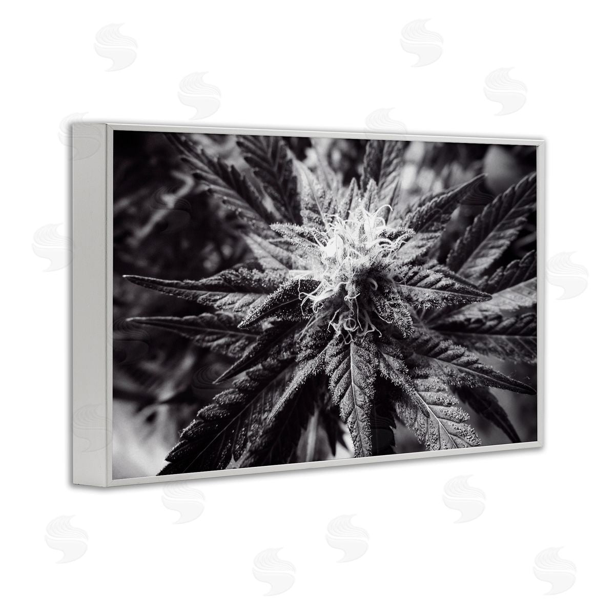 LIH Dark Cannabis Flower White Framed Giclee Wall Art Print