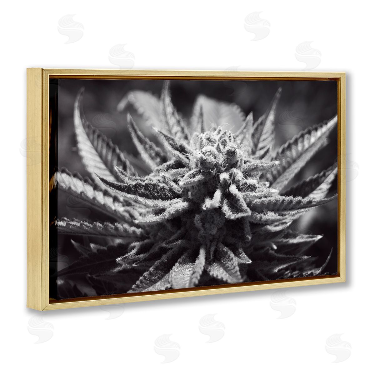 LIH Monochrome Cannabis Flower Gold Floating Frame Canvas Wall Art Print