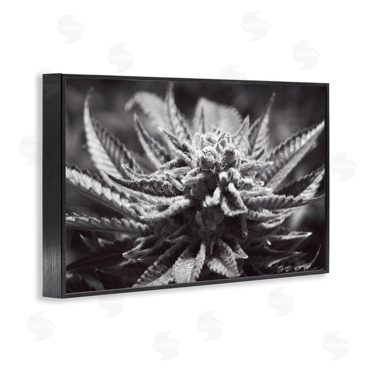LIH Monochrome Cannabis Flower Black Framed Giclee Wall Art Print